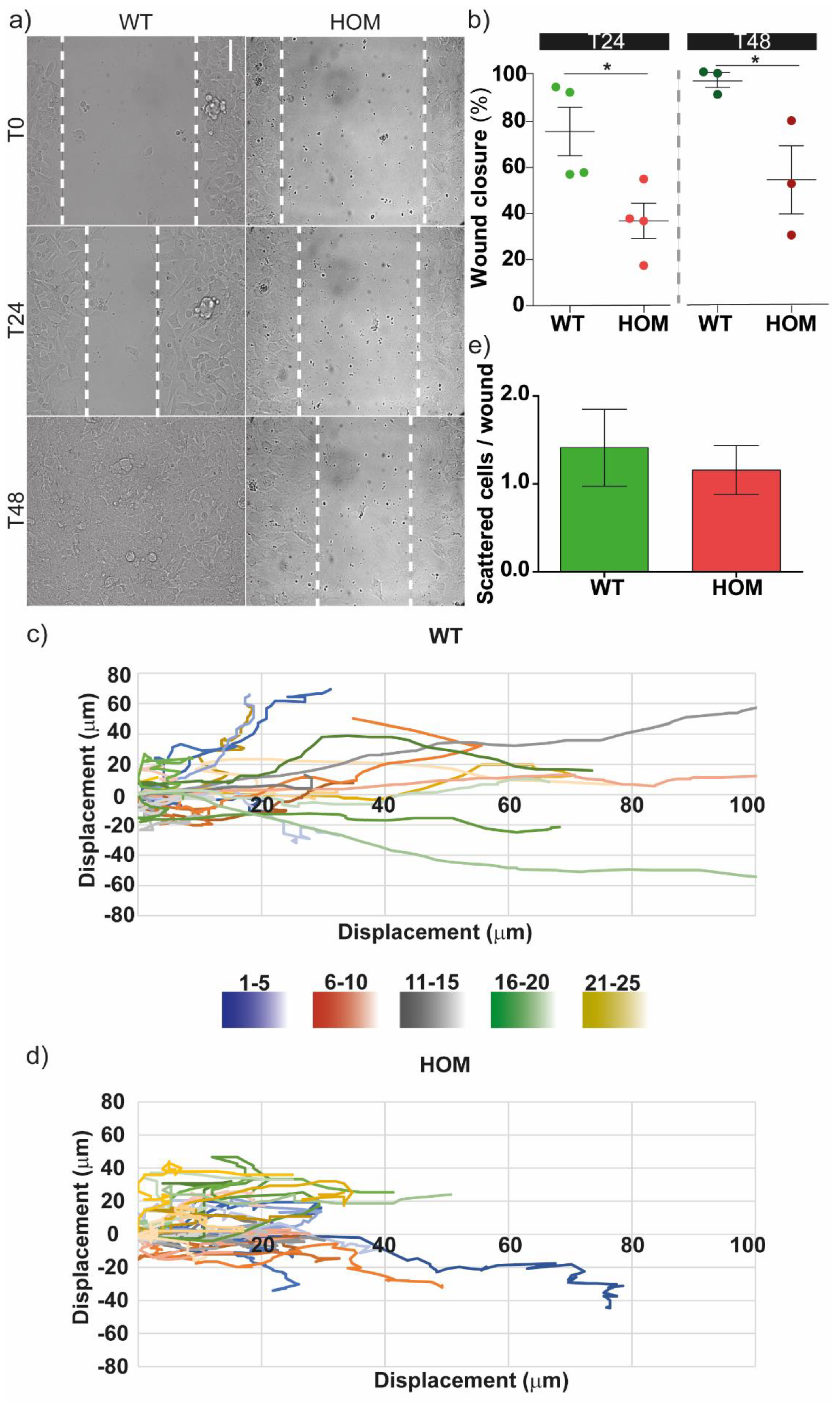 Biomedicines 11 00927 g002 Biomedicines 11 00927 g002