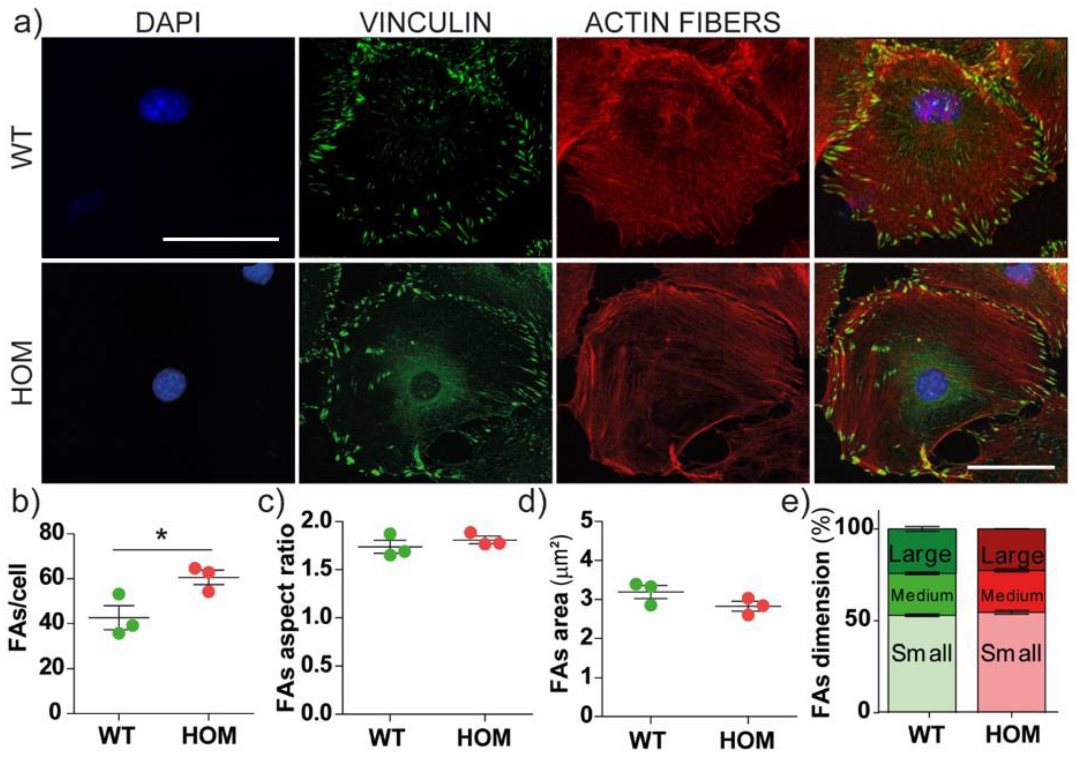 Biomedicines 11 00927 g003 Biomedicines 11 00927 g003