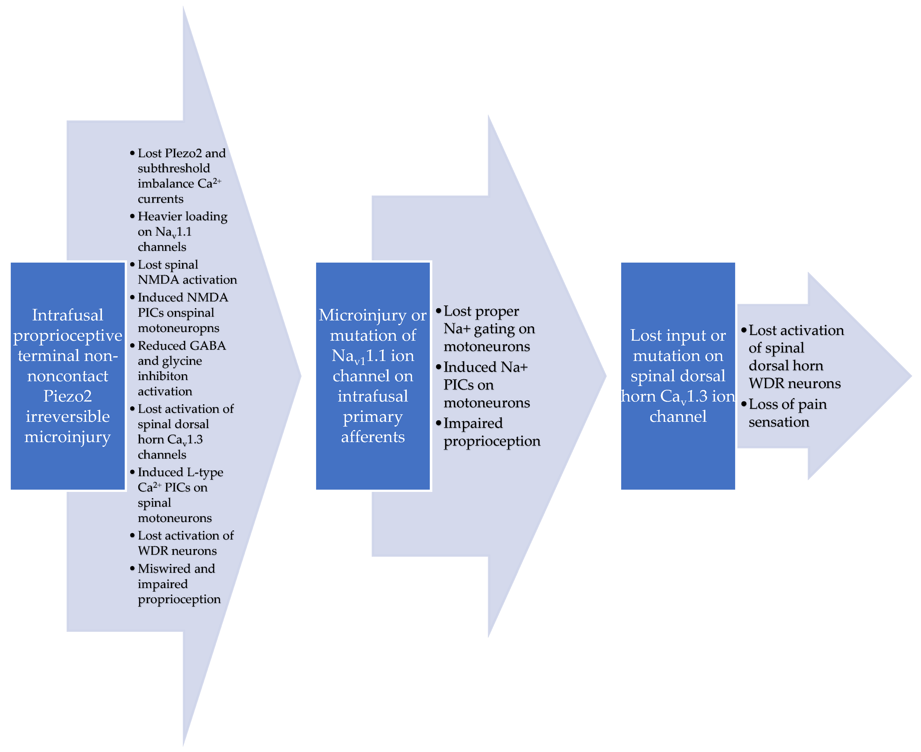 Biomedicines 11 00933 g002
