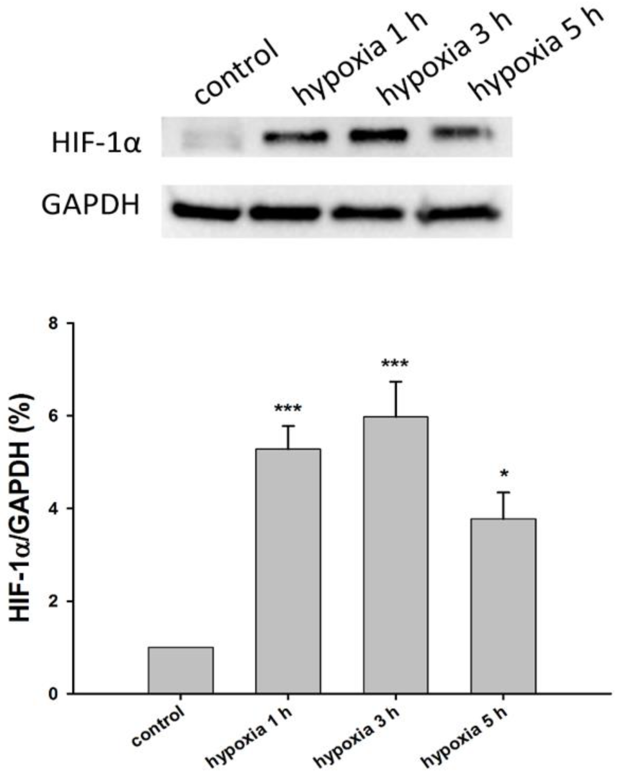 Biomedicines 11 00935 g002