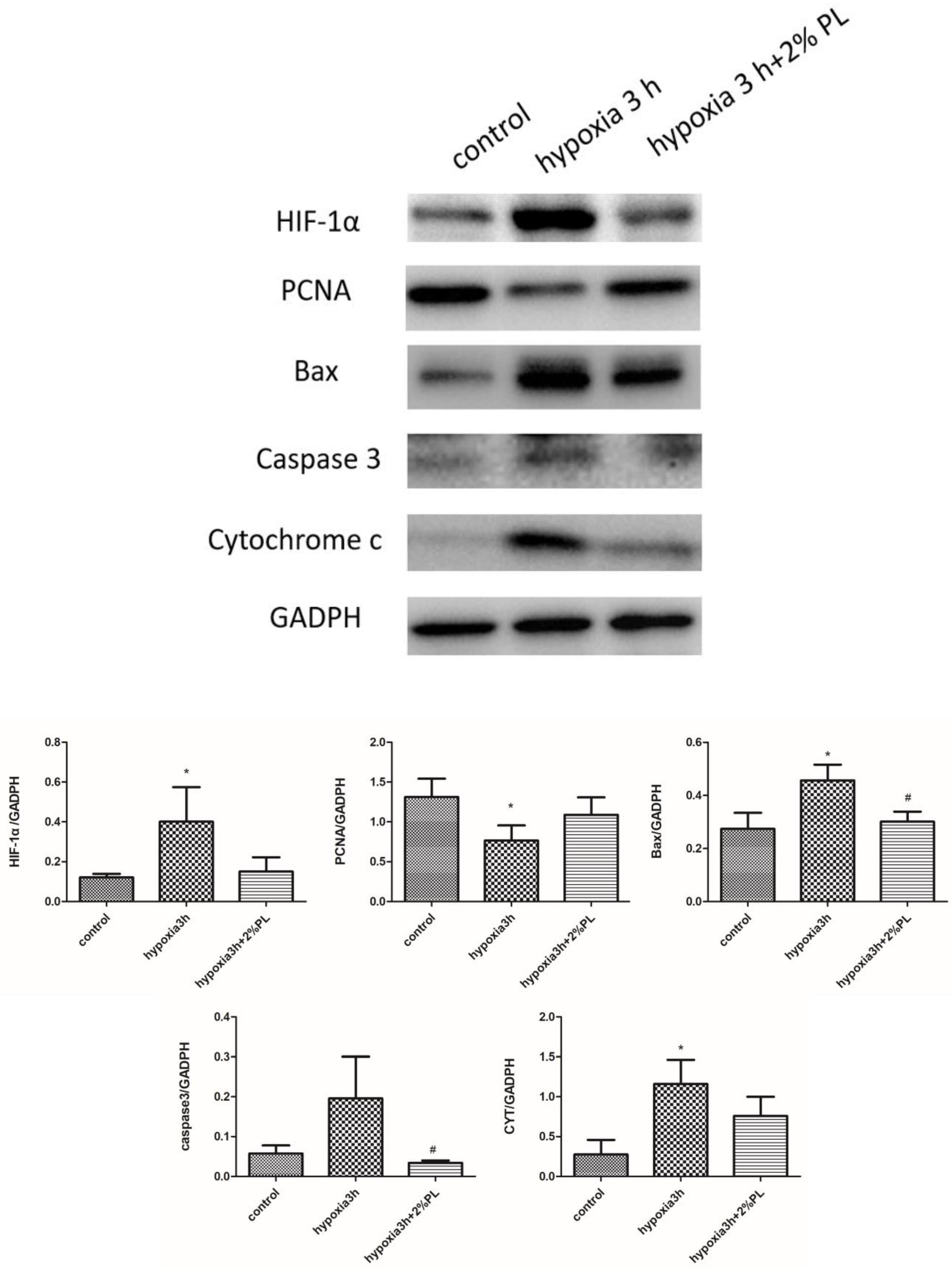 Biomedicines 11 00935 g004