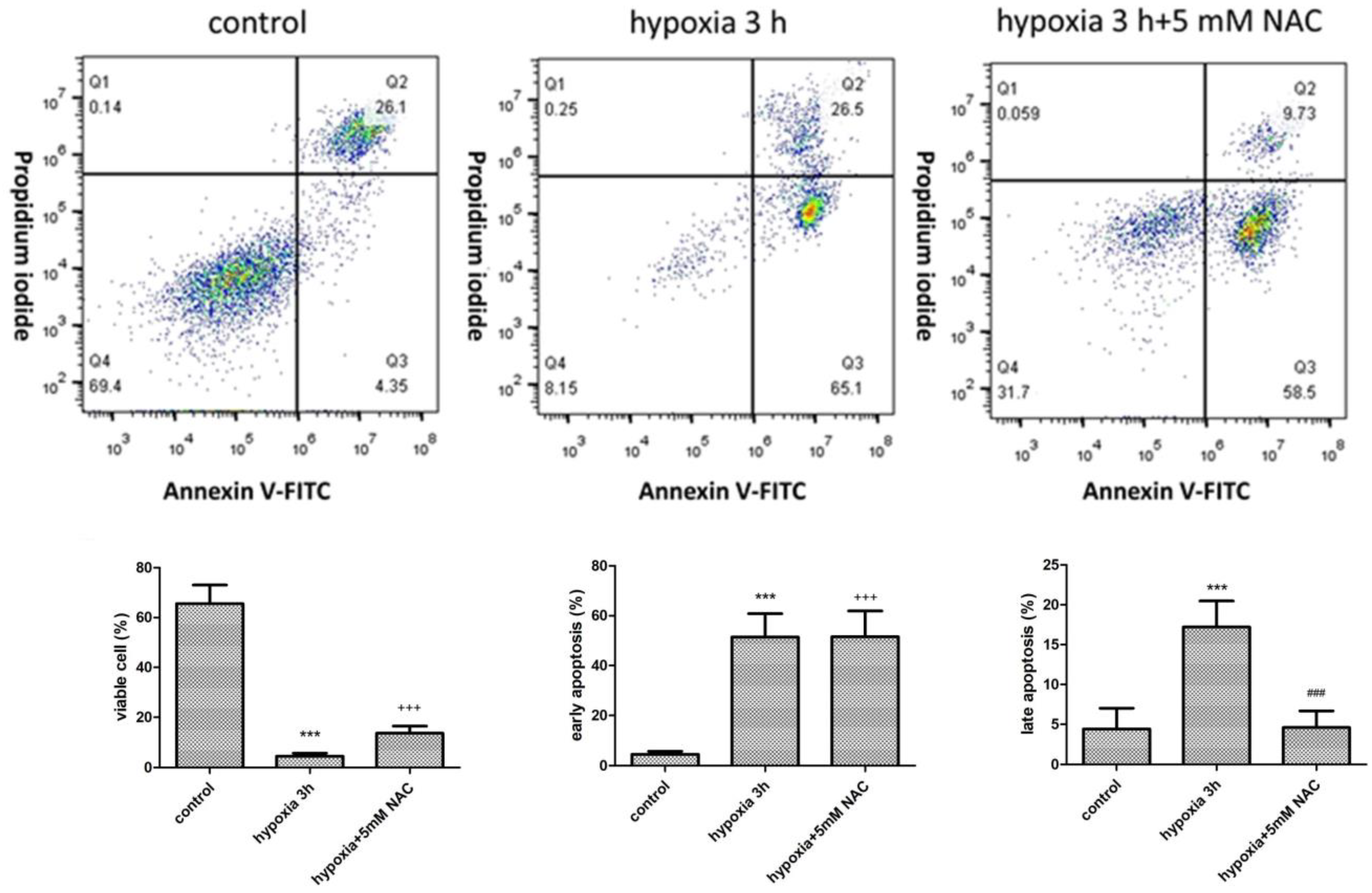 Biomedicines 11 00935 g006
