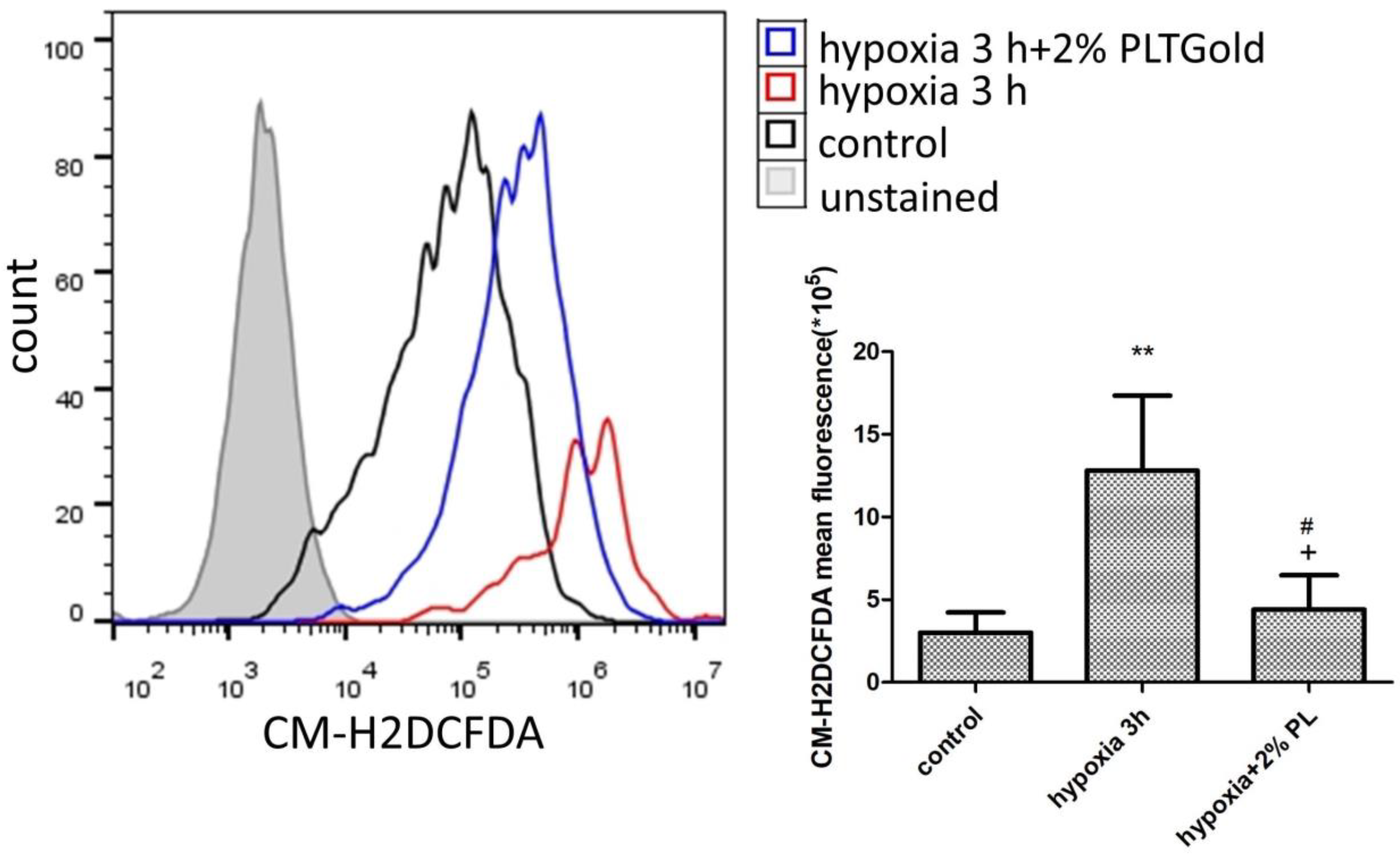 Biomedicines 11 00935 g007