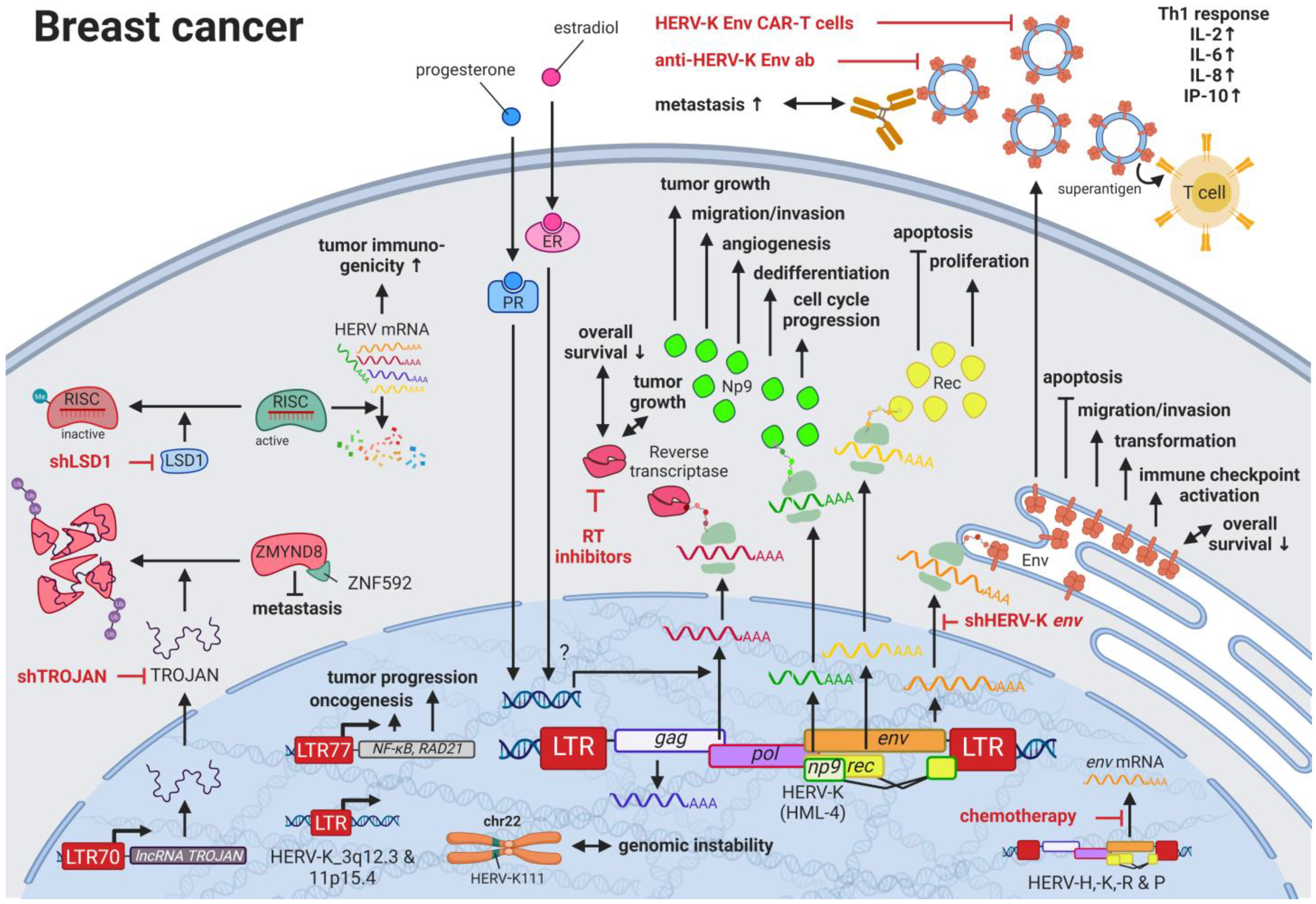Biomedicines 11 00936 g001 Biomedicines 11 00936 g001