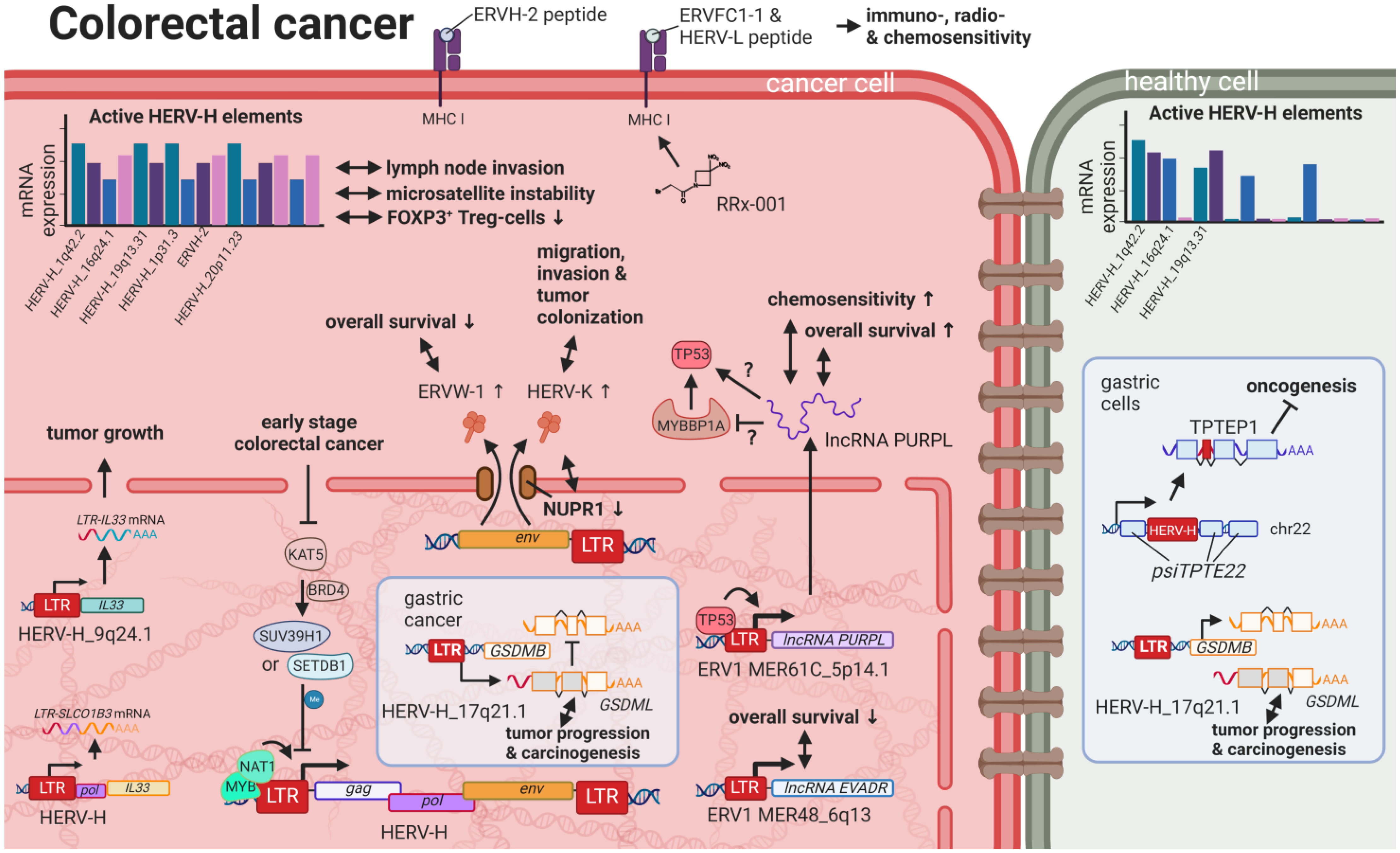 Biomedicines 11 00936 g006 Biomedicines 11 00936 g006