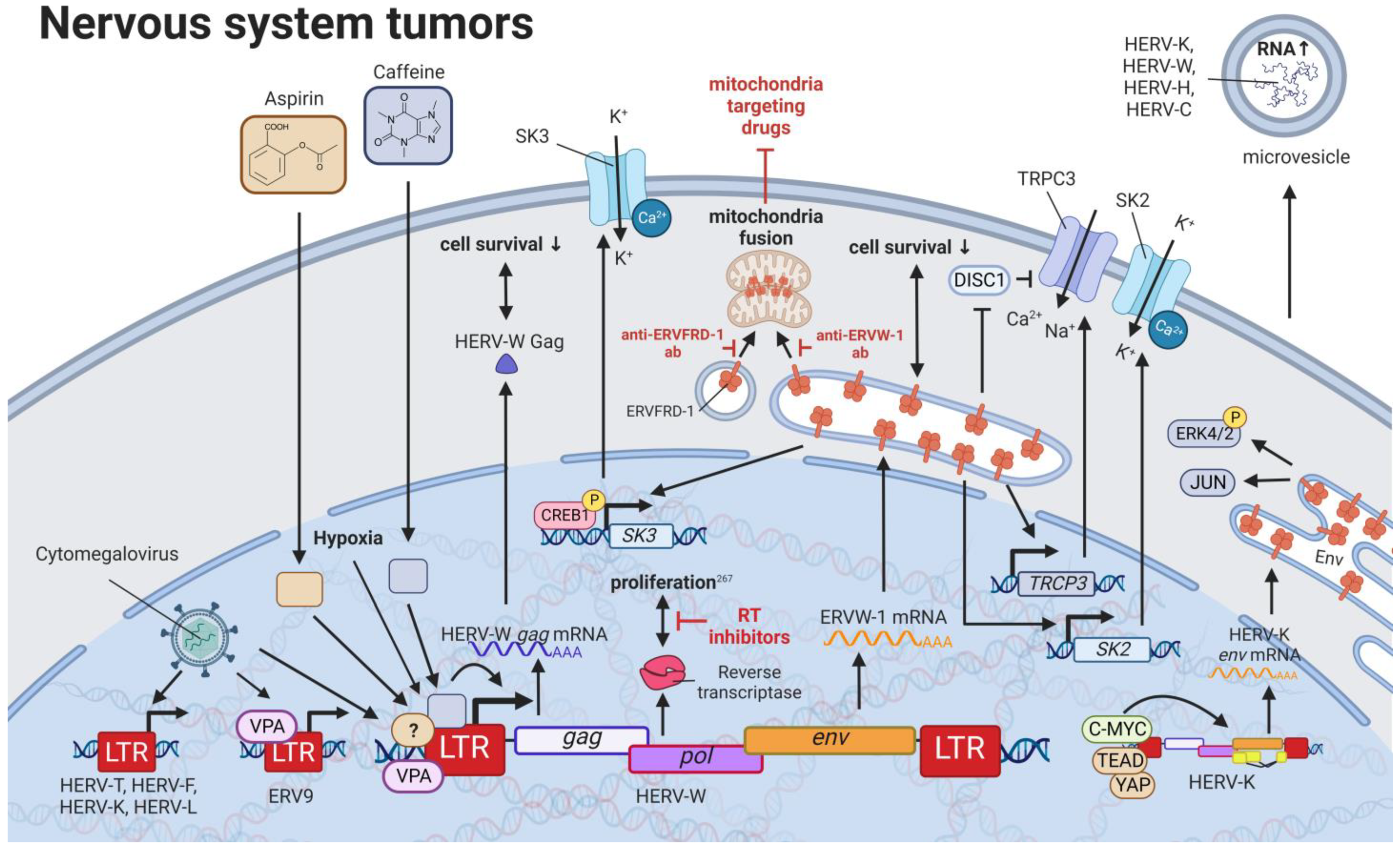 Biomedicines 11 00936 g008 Biomedicines 11 00936 g008