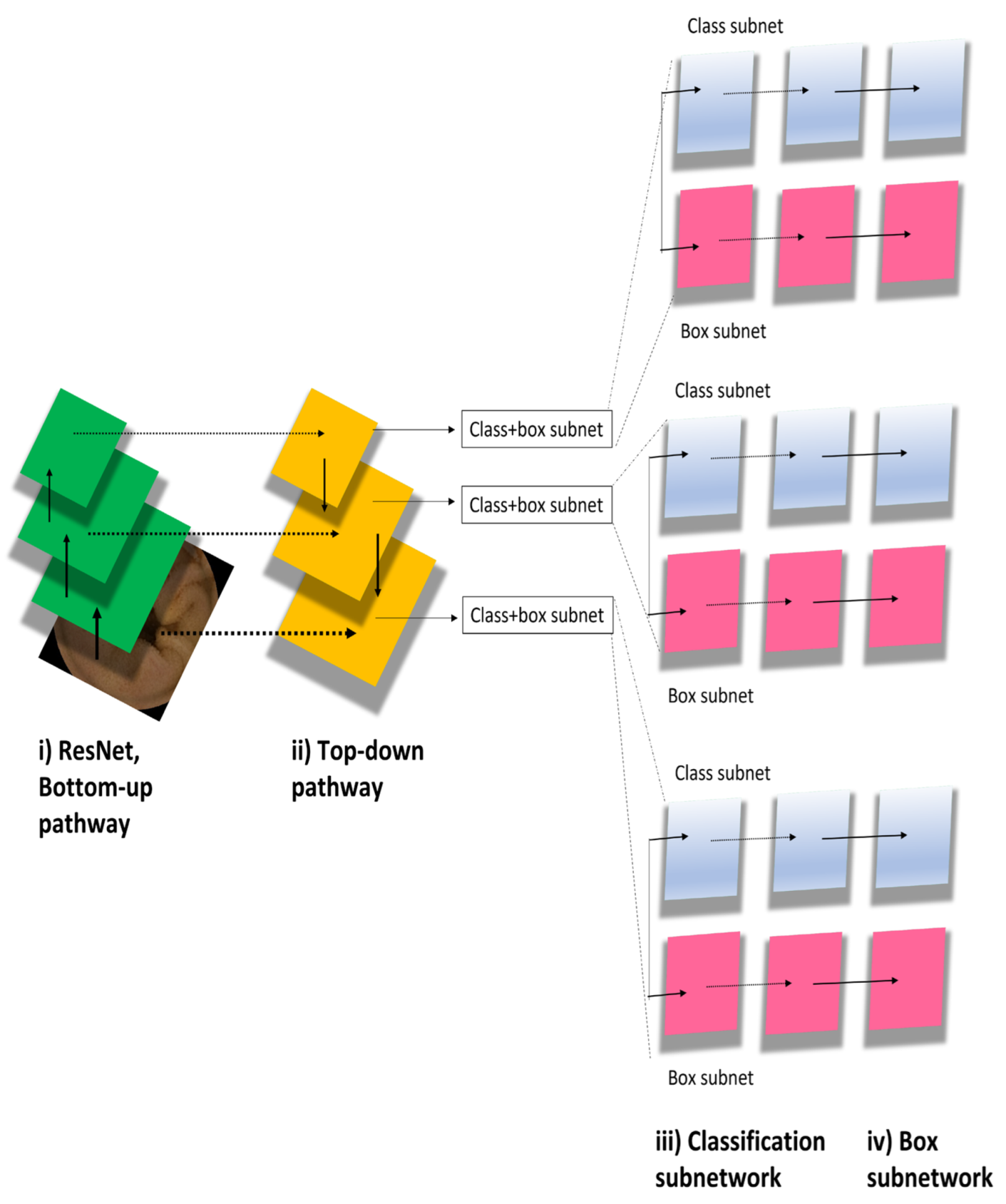 Biomedicines 11 00942 g002 Biomedicines 11 00942 g002