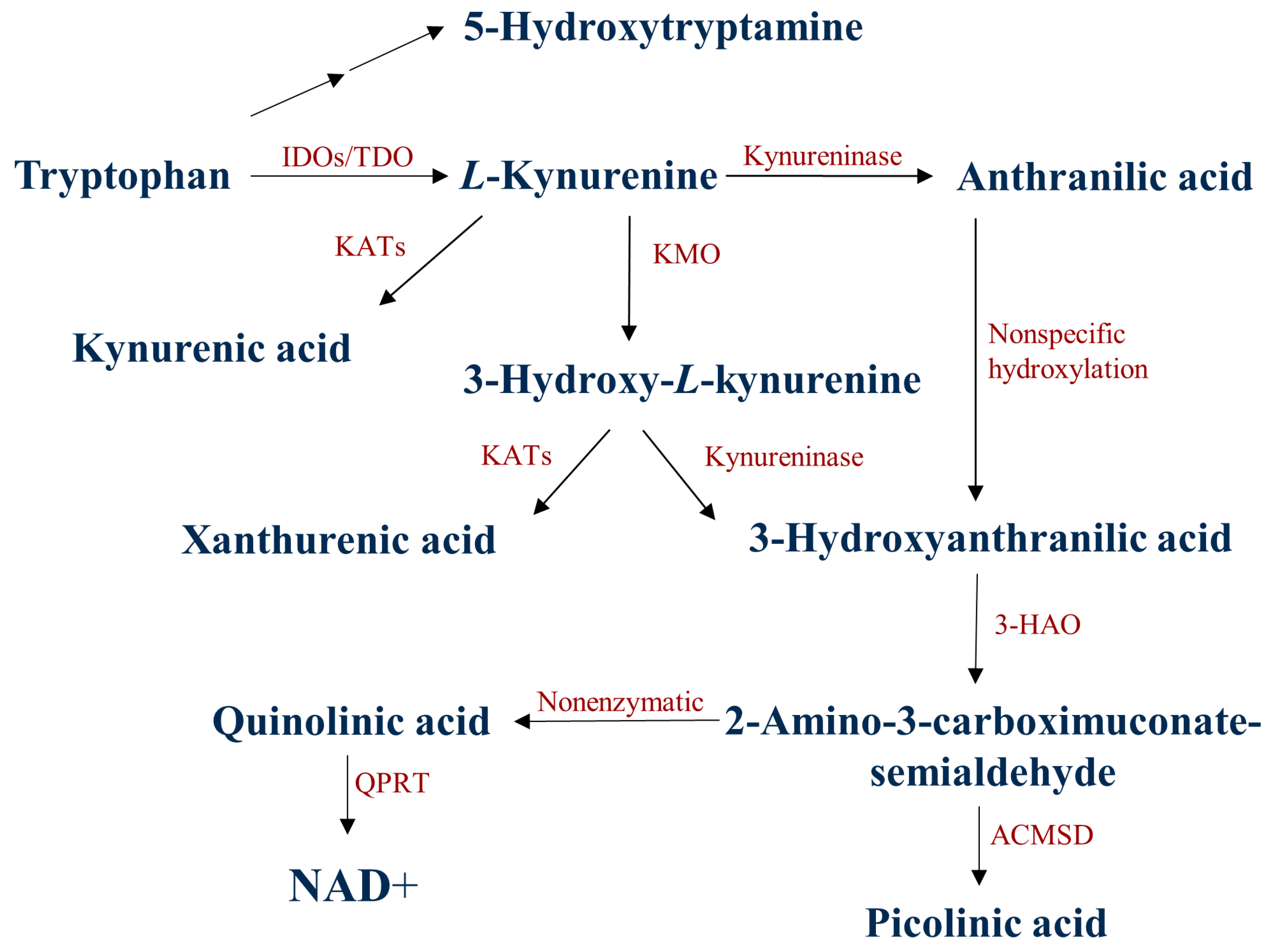 Biomedicines 11 00945 g001