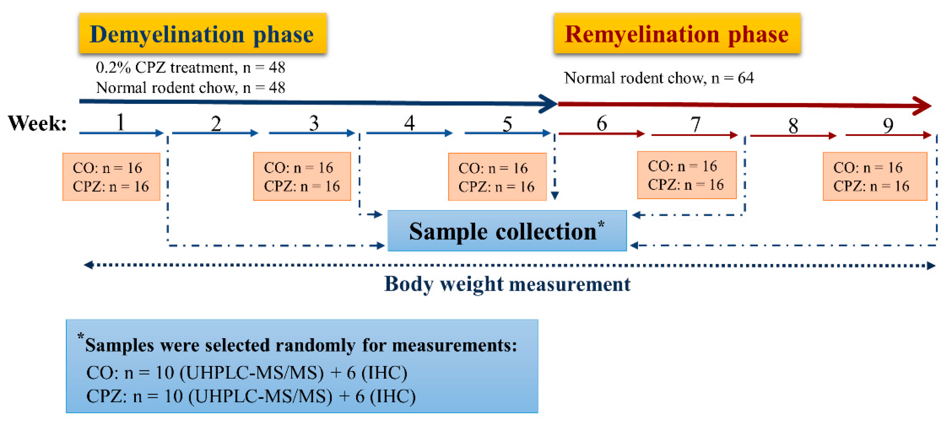 Biomedicines 11 00945 g002