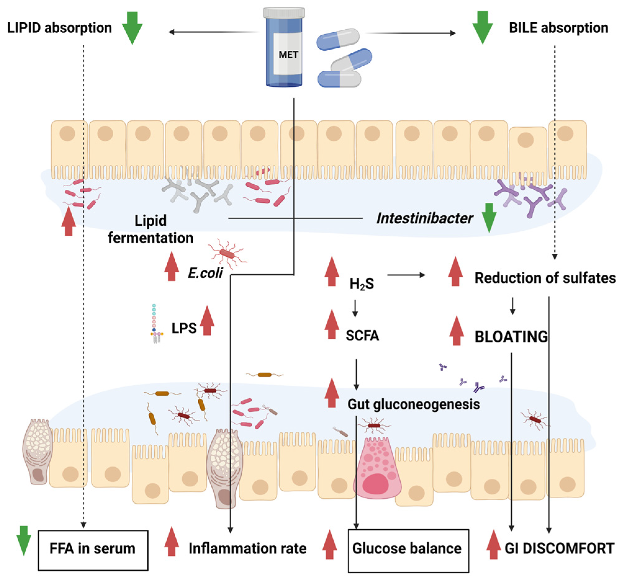 Biomedicines 11 00952 g001