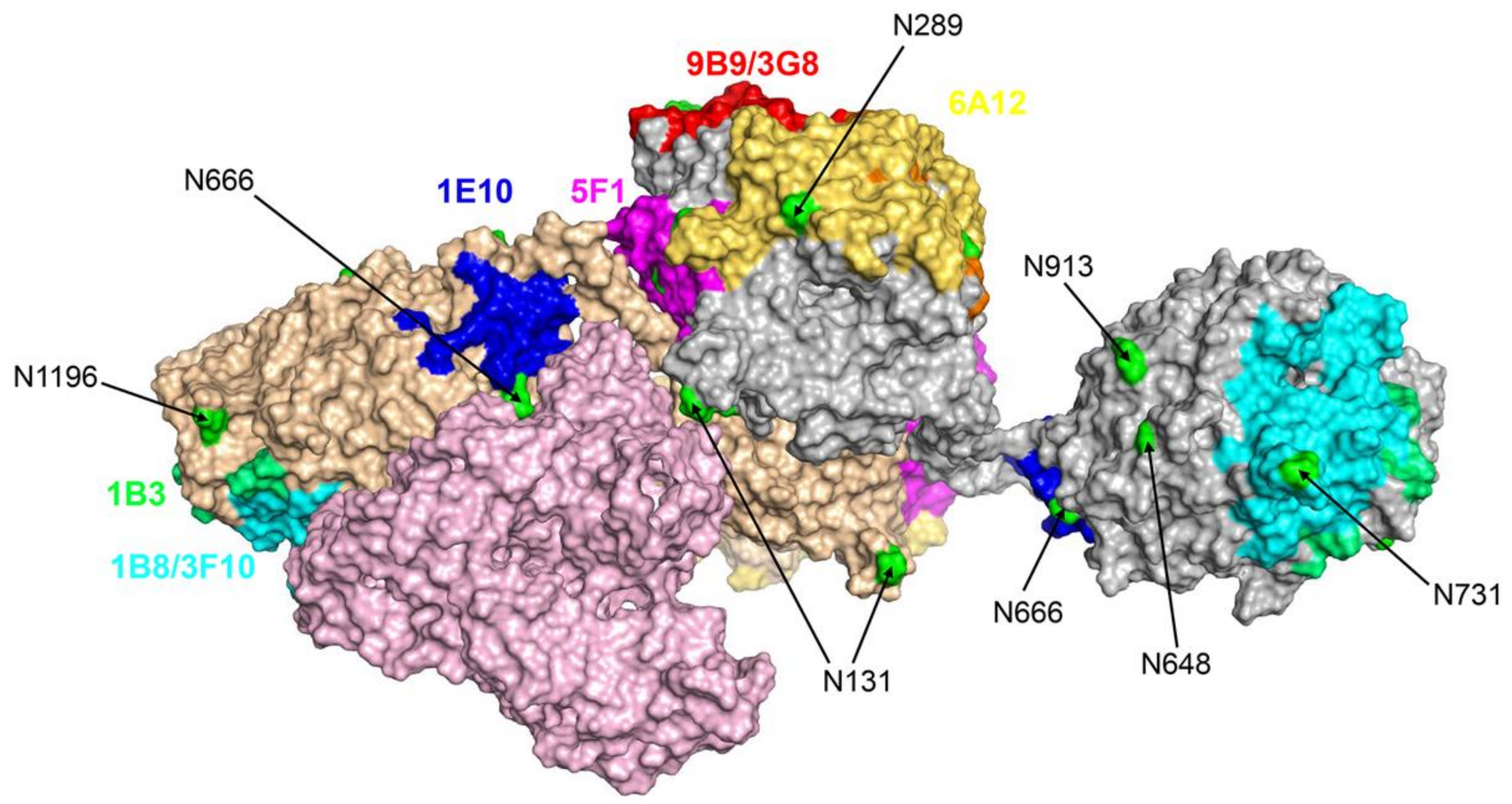 Biomedicines 11 00953 g005