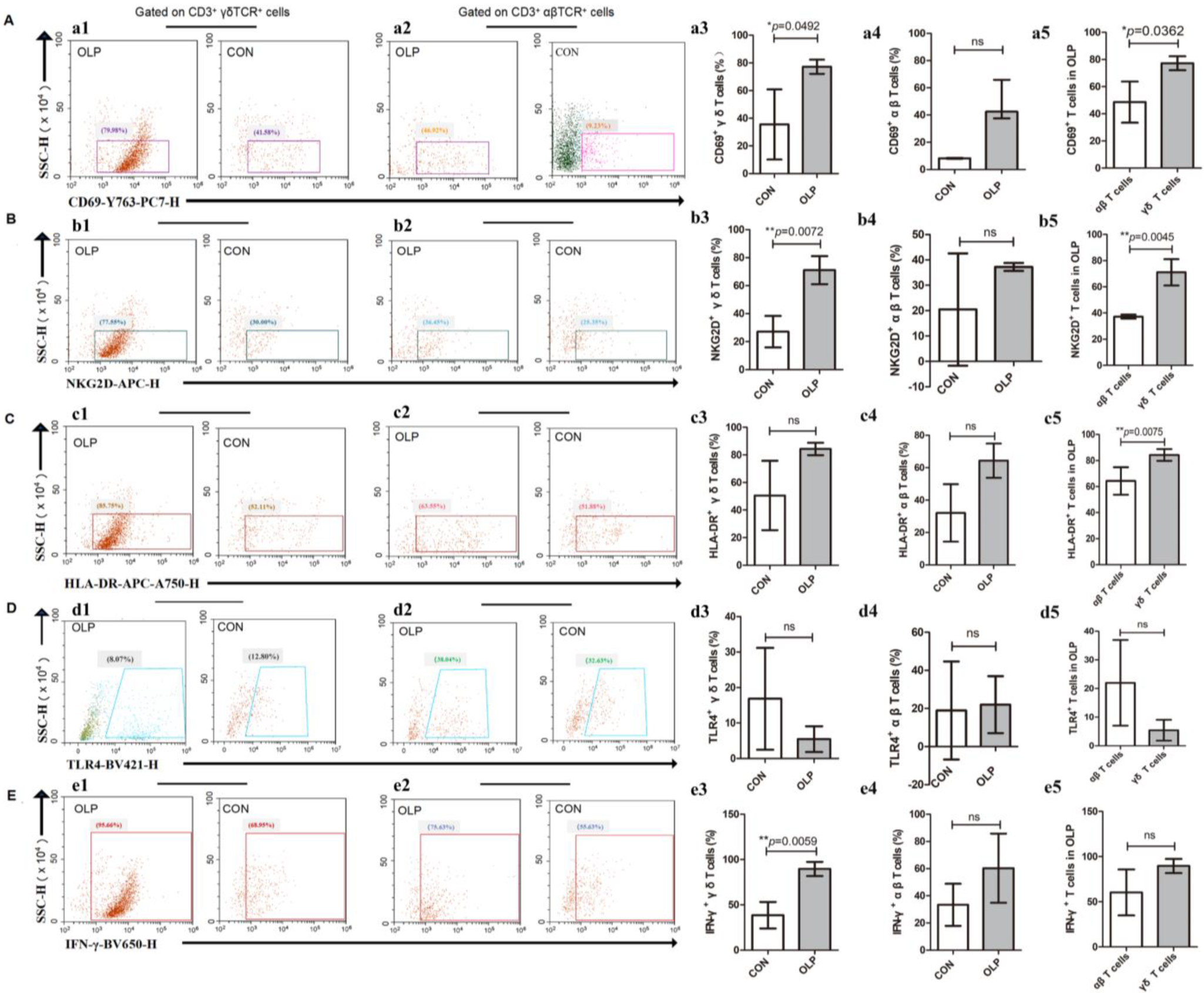 Biomedicines 11 00955 g002