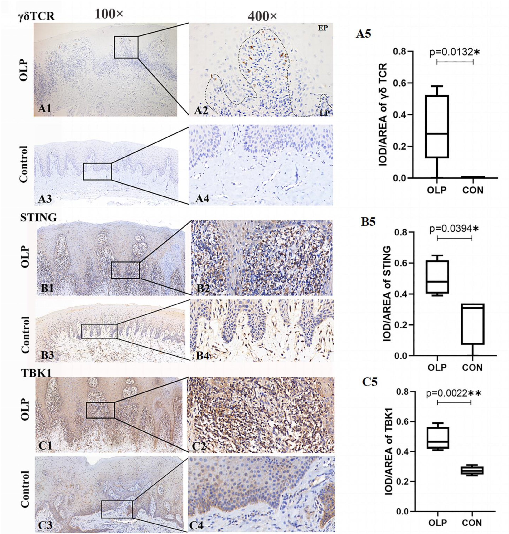 Biomedicines 11 00955 g004
