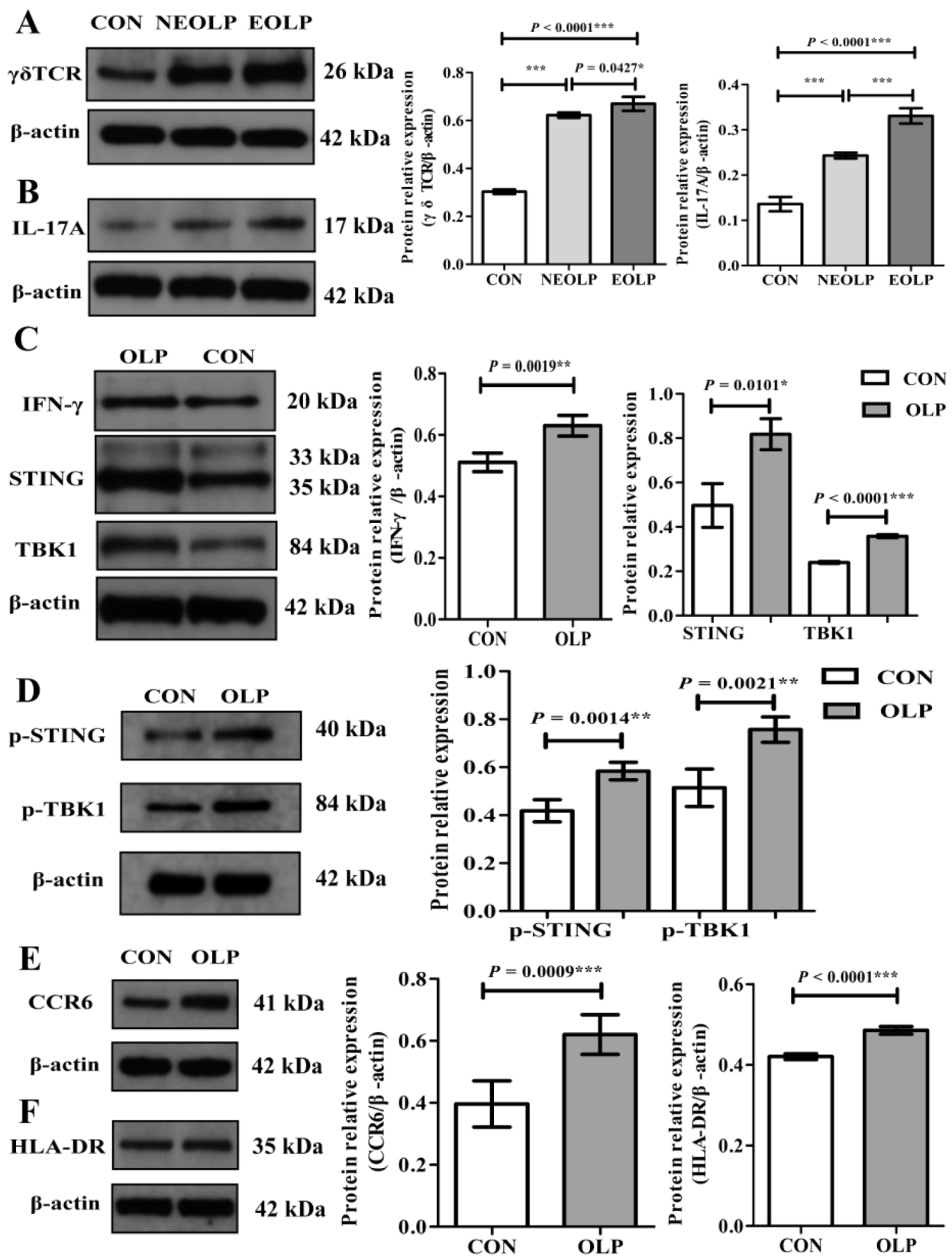 Biomedicines 11 00955 g006