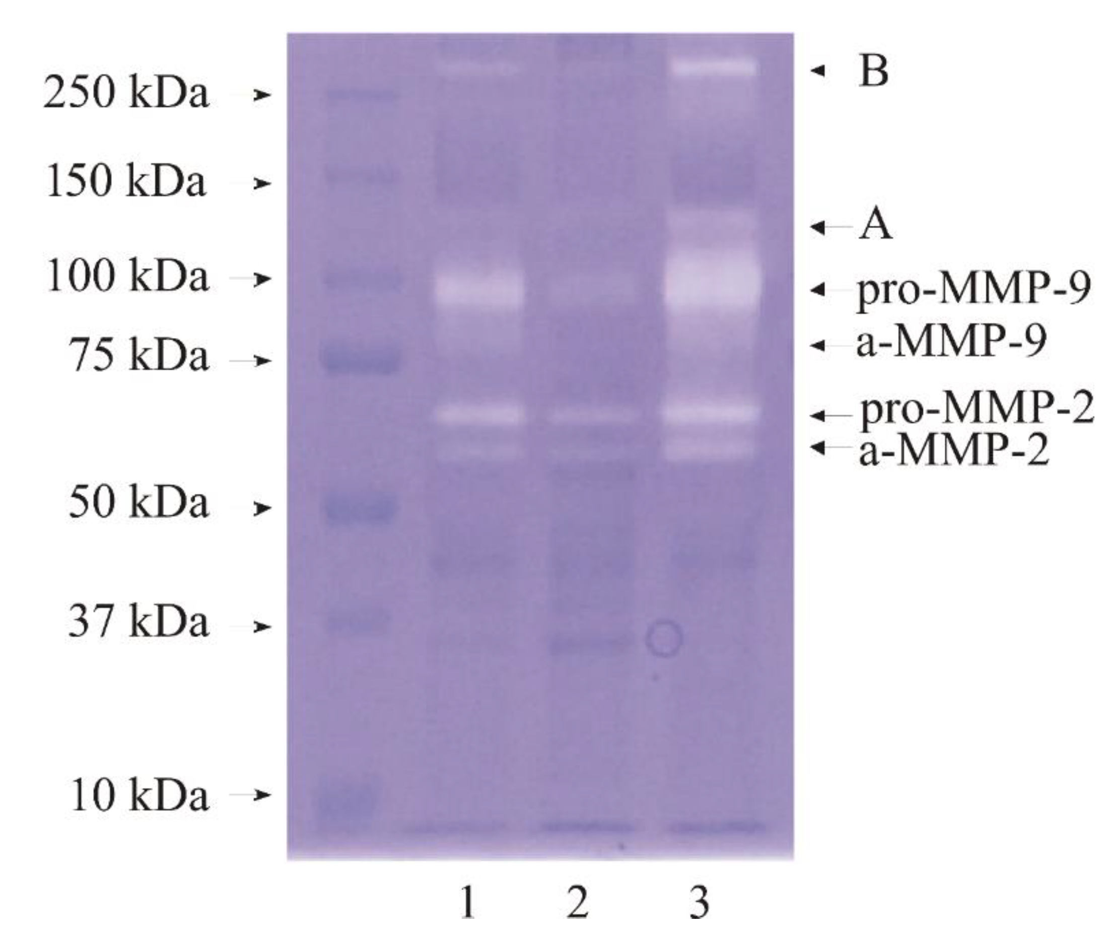Biomedicines 11 00956 g001