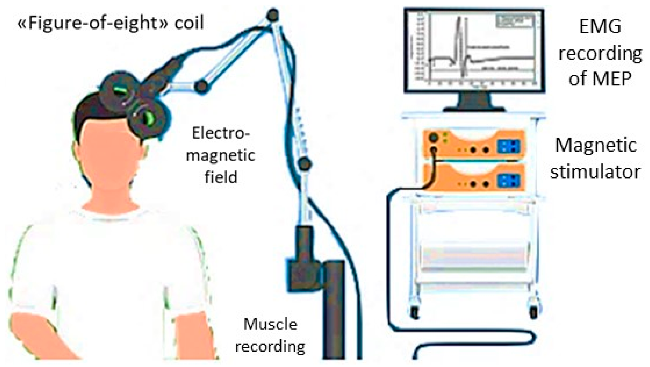 Biomedicines 11 00958 g002