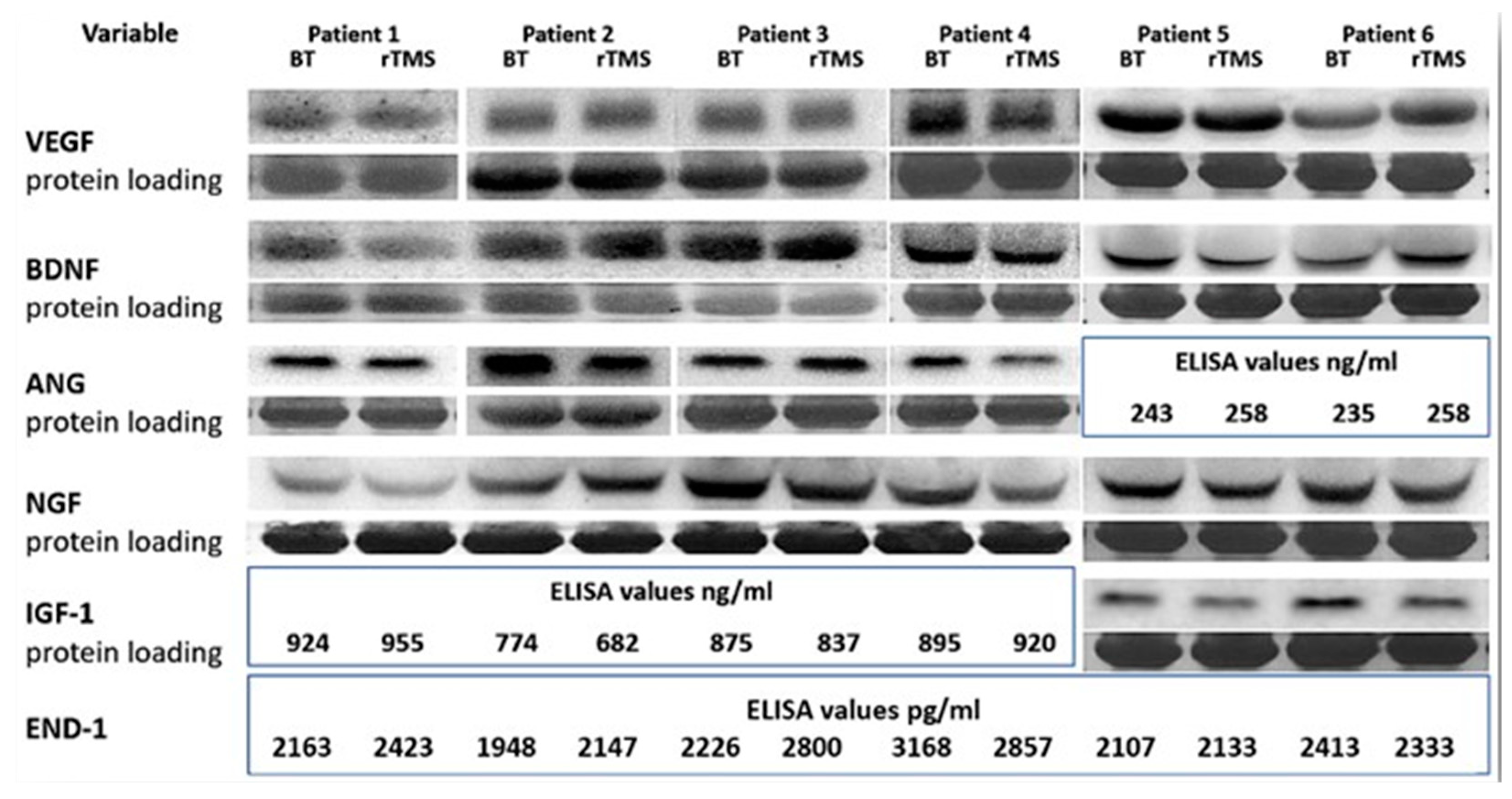Biomedicines 11 00958 g005