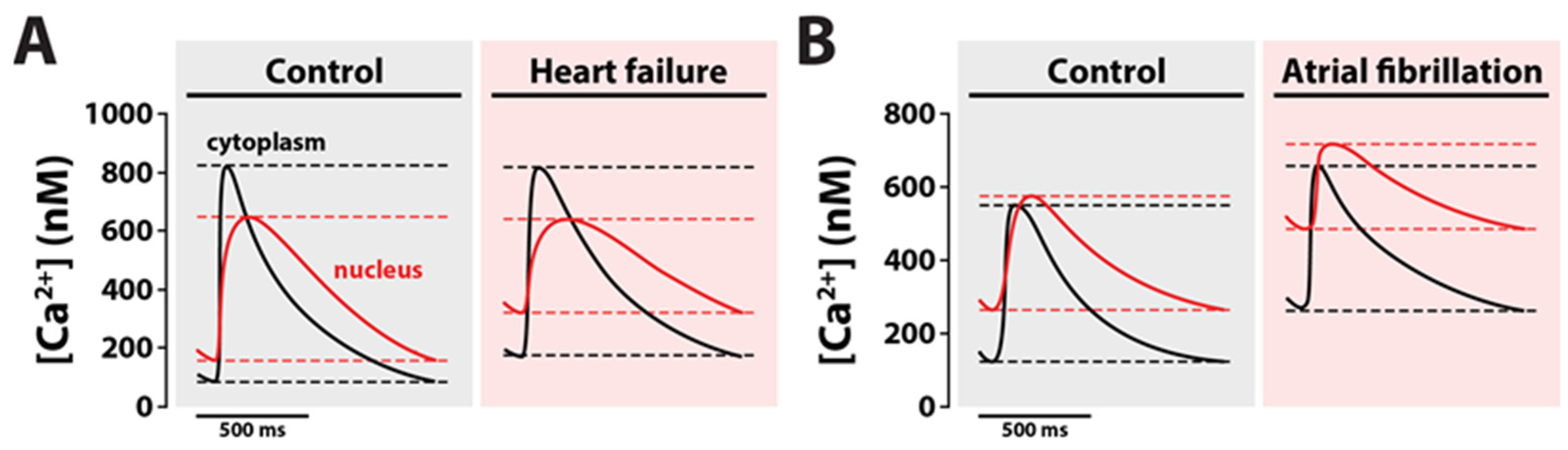 Biomedicines 11 00960 g002 Biomedicines 11 00960 g002