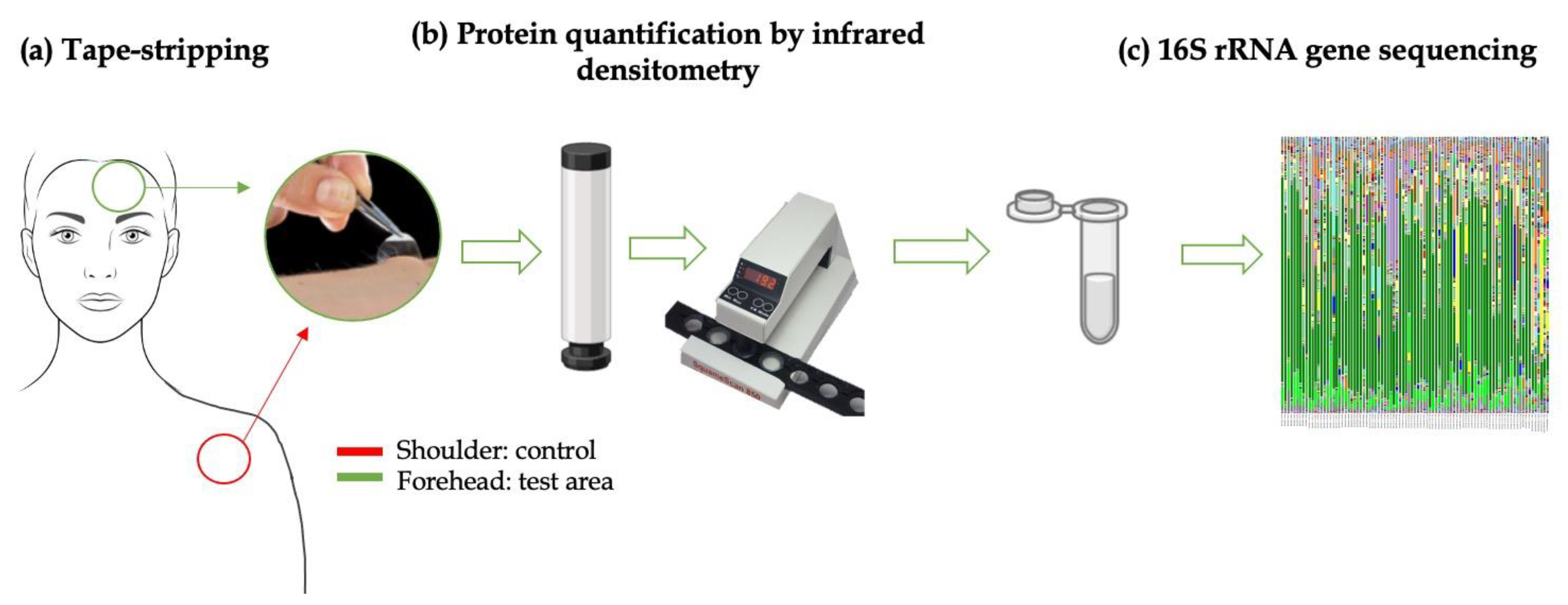 Biomedicines 11 00966 g002