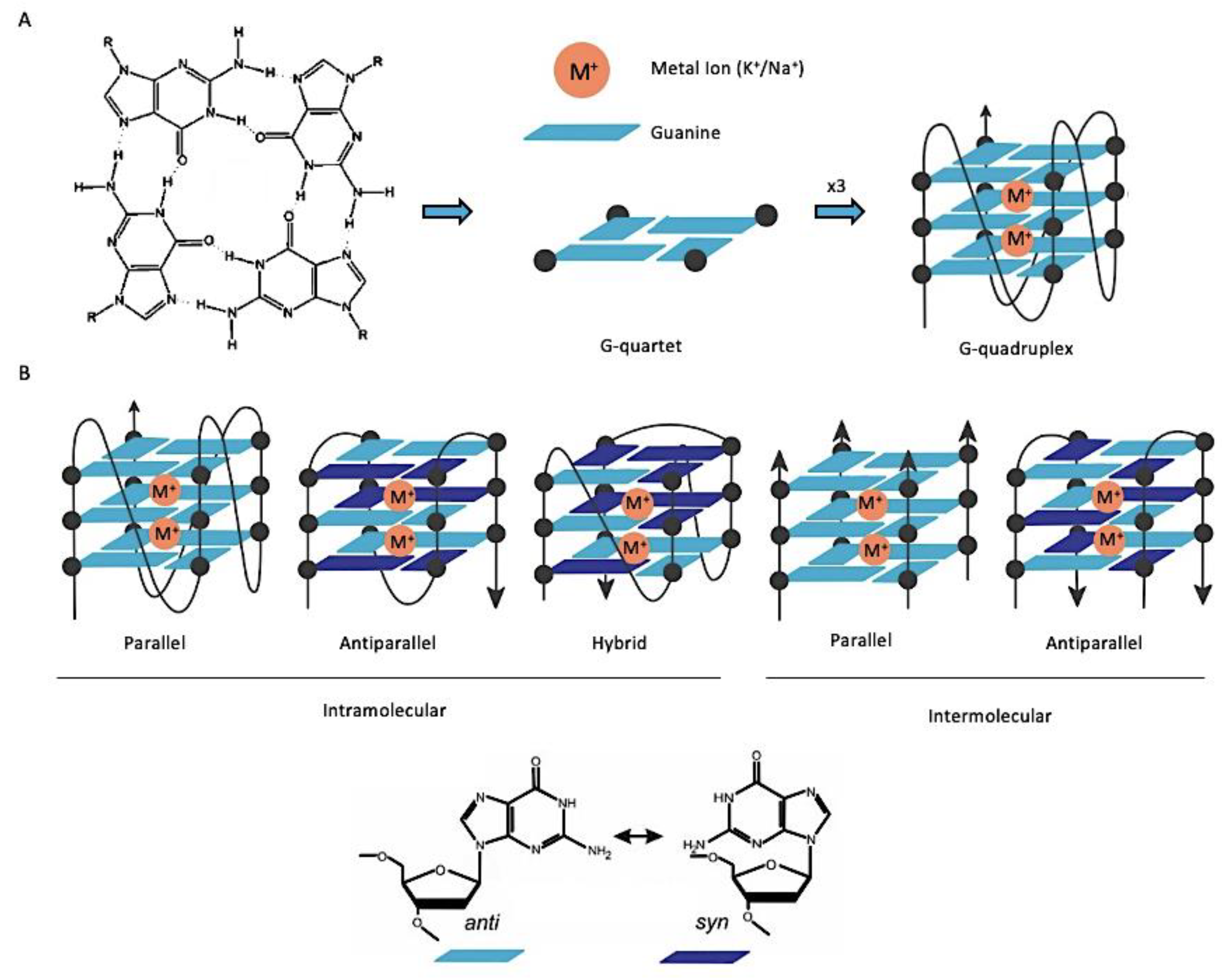 Biomedicines 11 00969 g001 Biomedicines 11 00969 g001