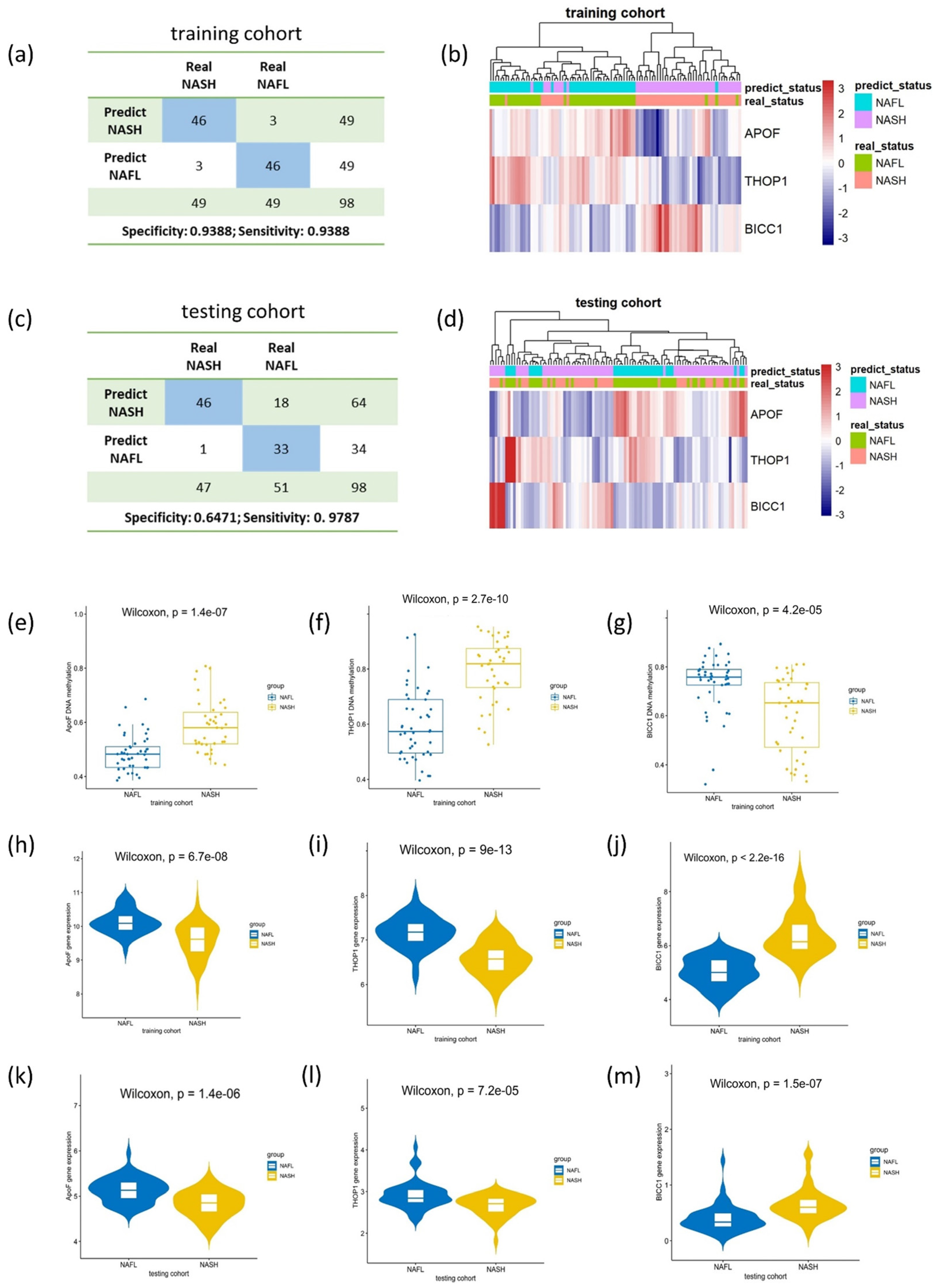 Biomedicines 11 00970 g004 Biomedicines 11 00970 g004