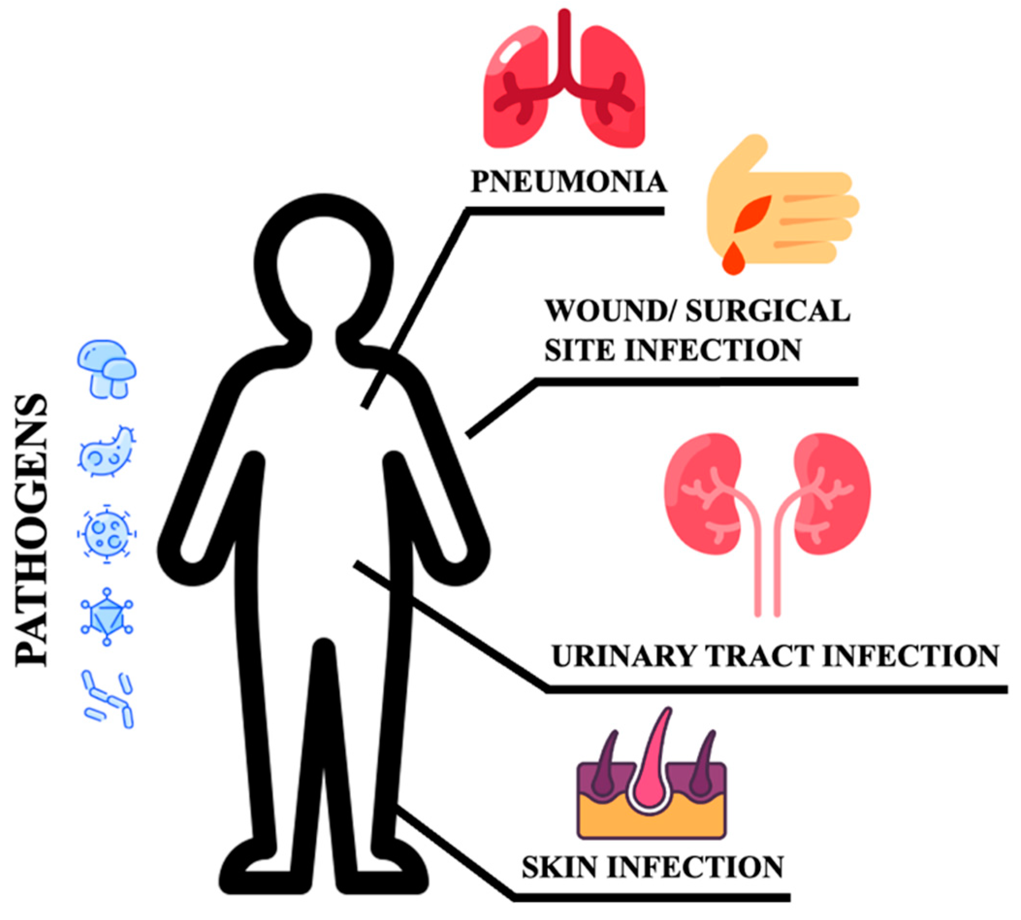 Biomedicines 11 00971 g001 Biomedicines 11 00971 g001
