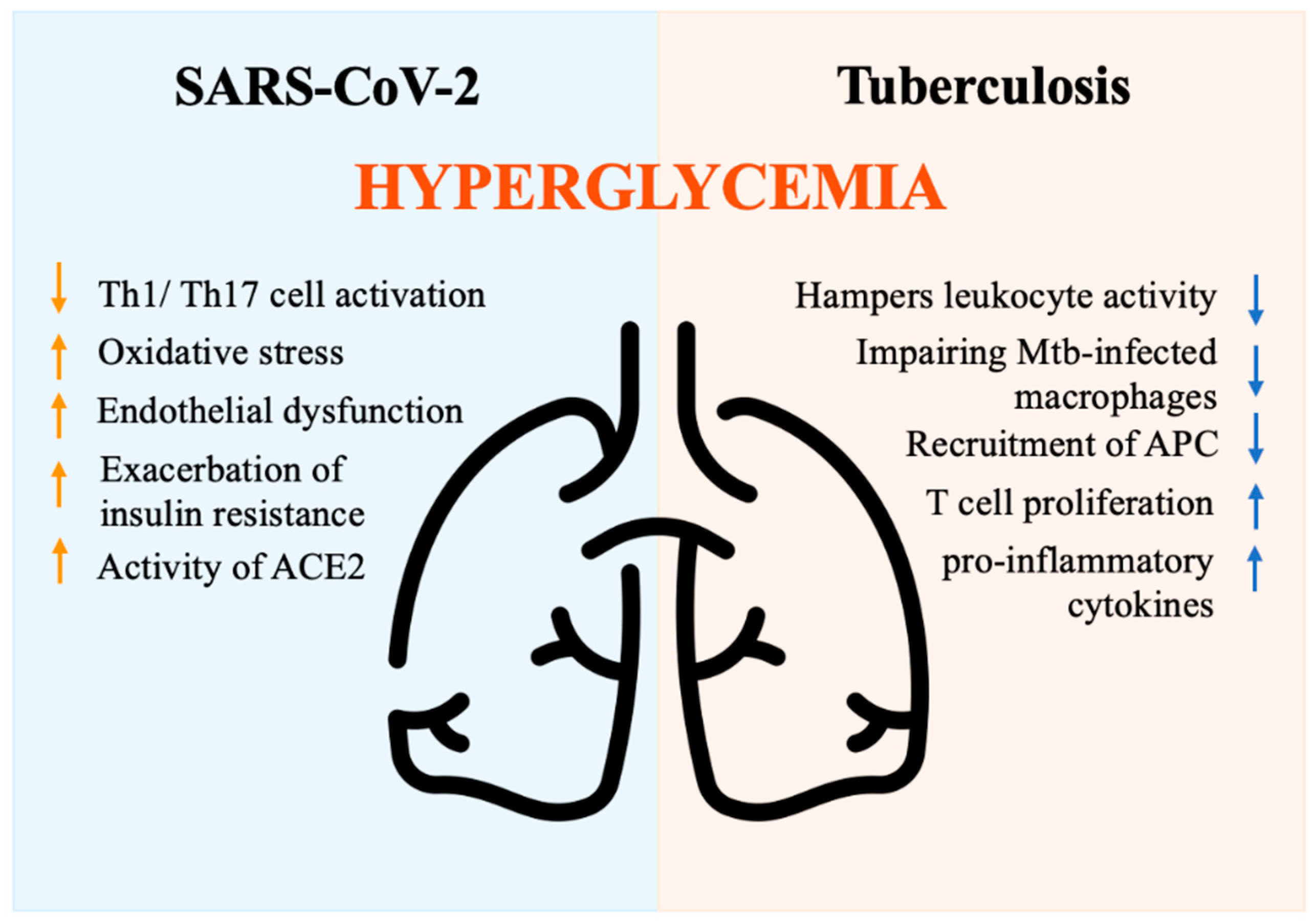 Biomedicines 11 00971 g004 Biomedicines 11 00971 g004