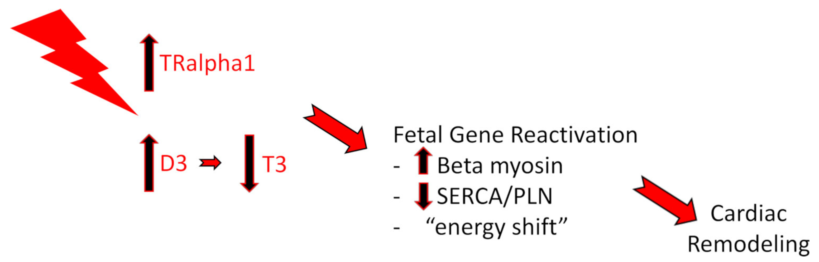 Biomedicines 11 00975 g001 Biomedicines 11 00975 g001