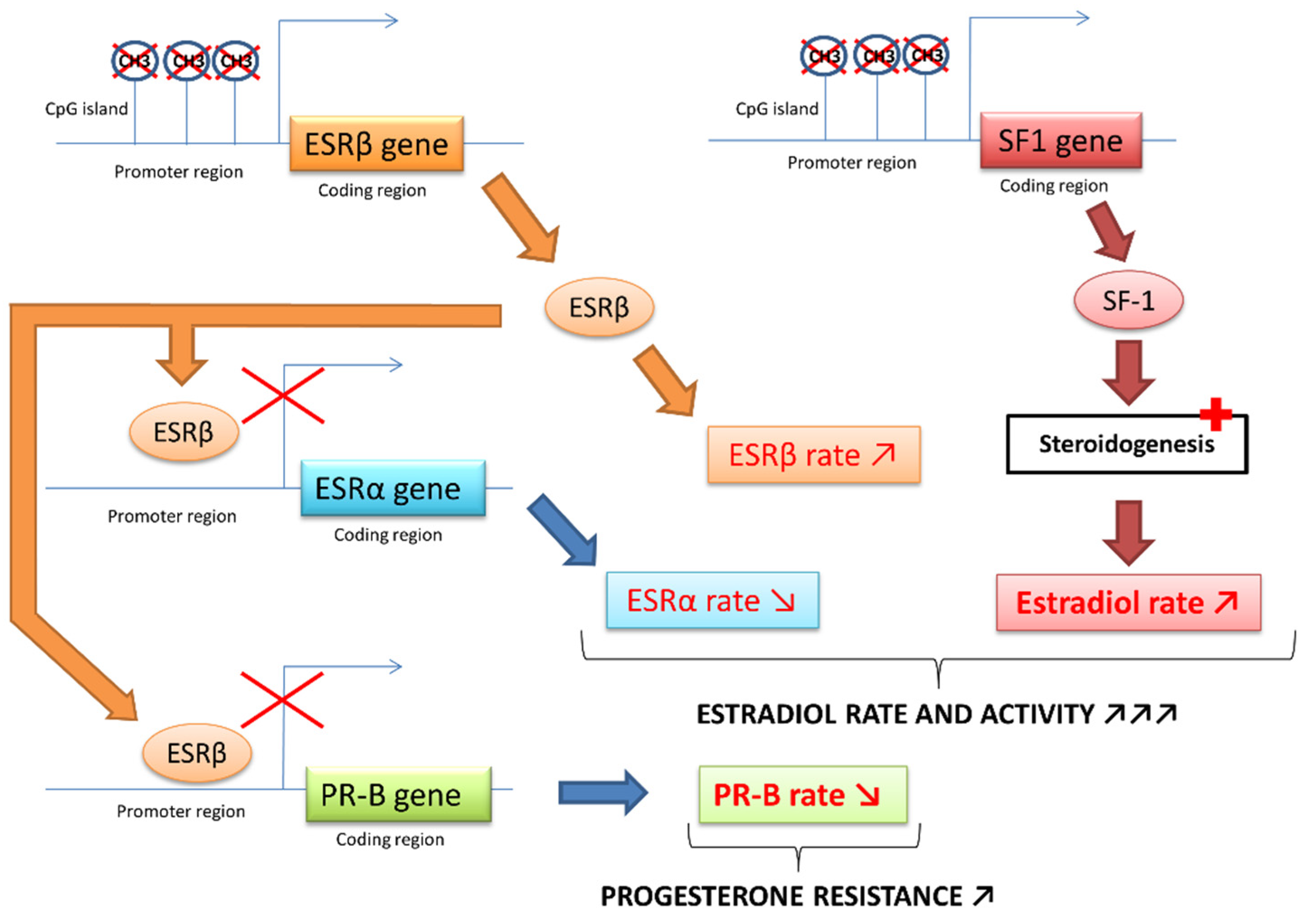 Biomedicines 11 00978 g004