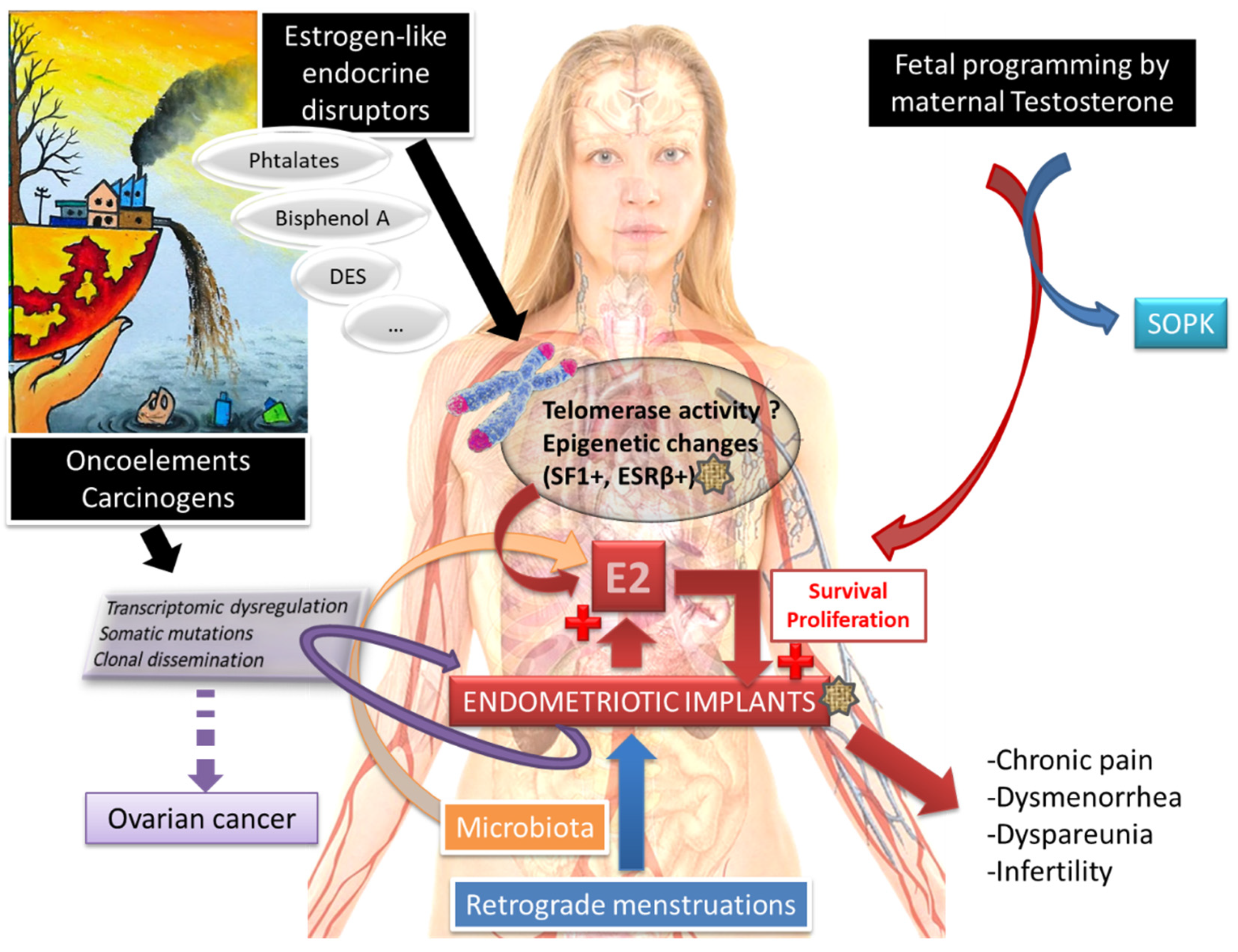 Biomedicines 11 00978 g005
