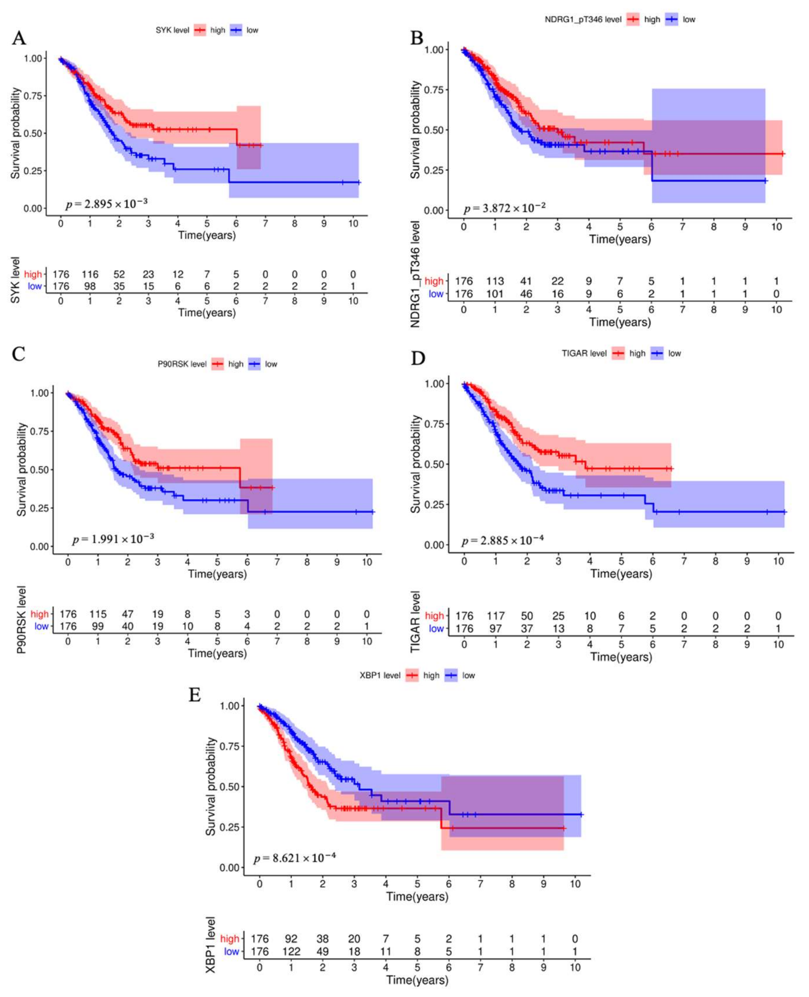 Biomedicines 11 00983 g001