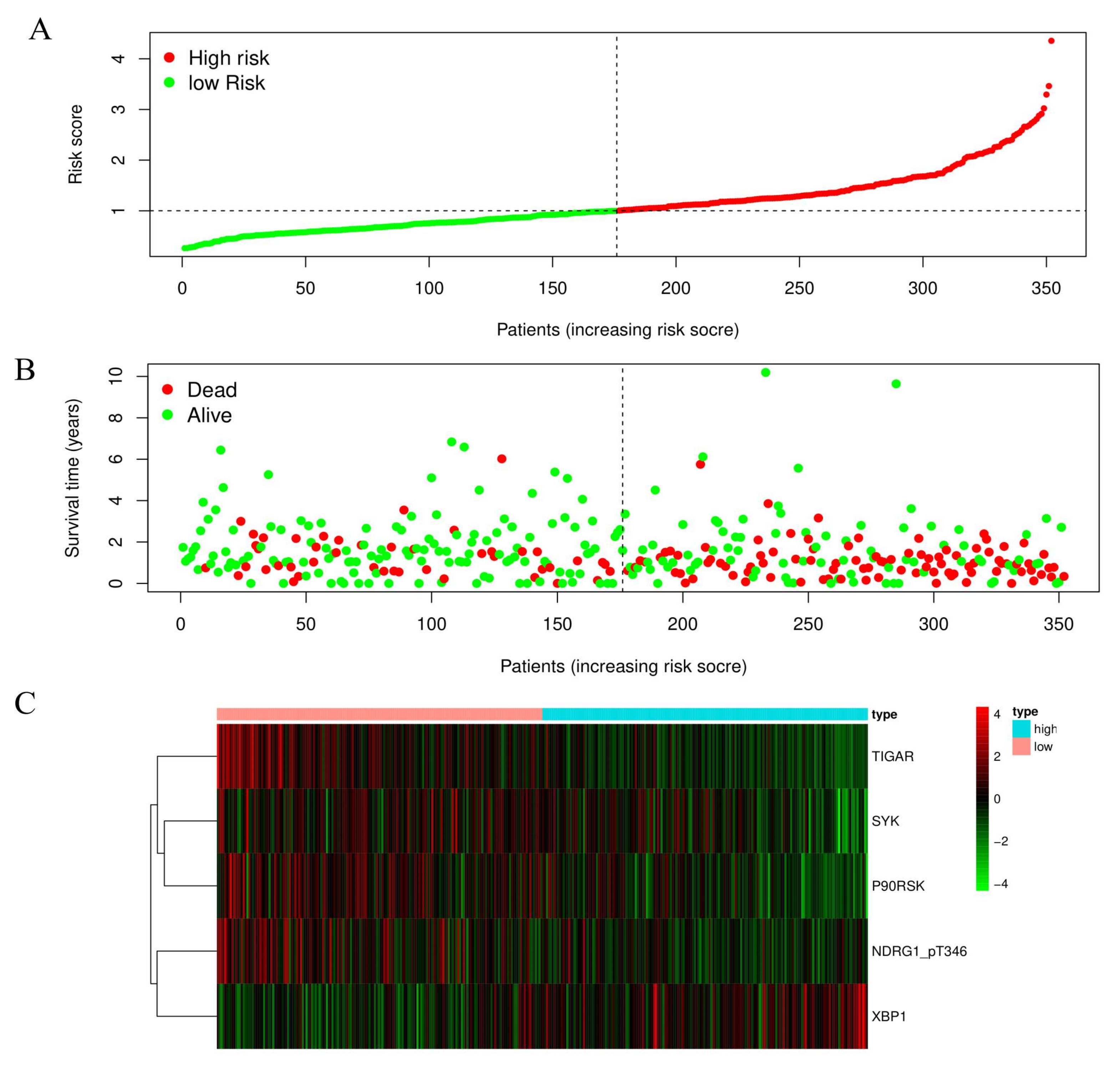 Biomedicines 11 00983 g002