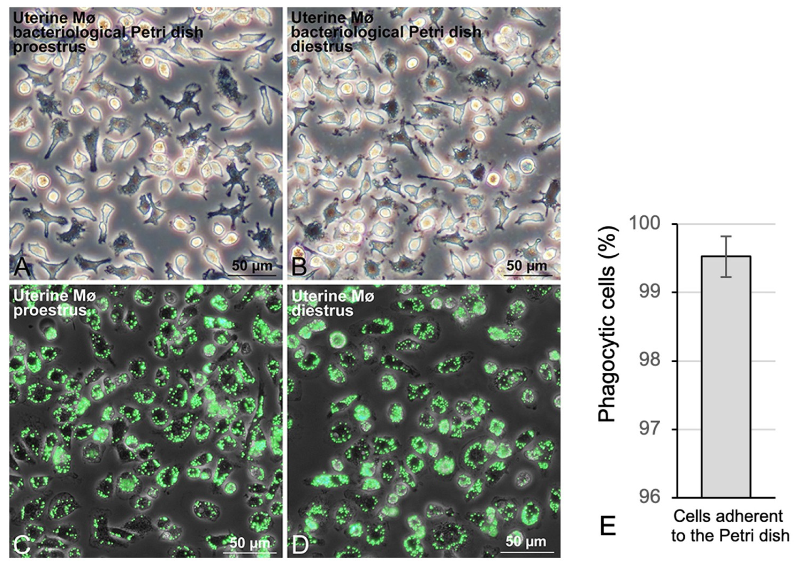 Biomedicines 11 00985 g003 Biomedicines 11 00985 g003