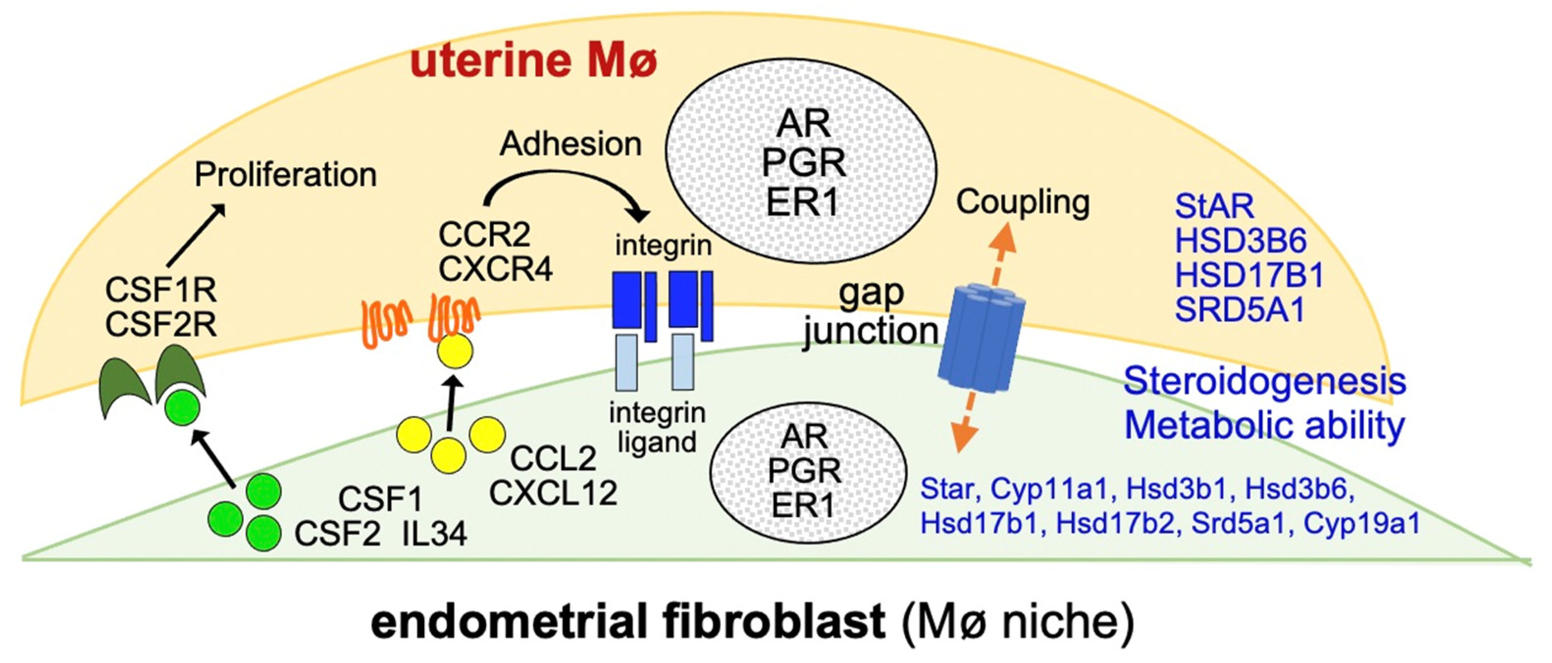 Biomedicines 11 00985 g009 Biomedicines 11 00985 g009
