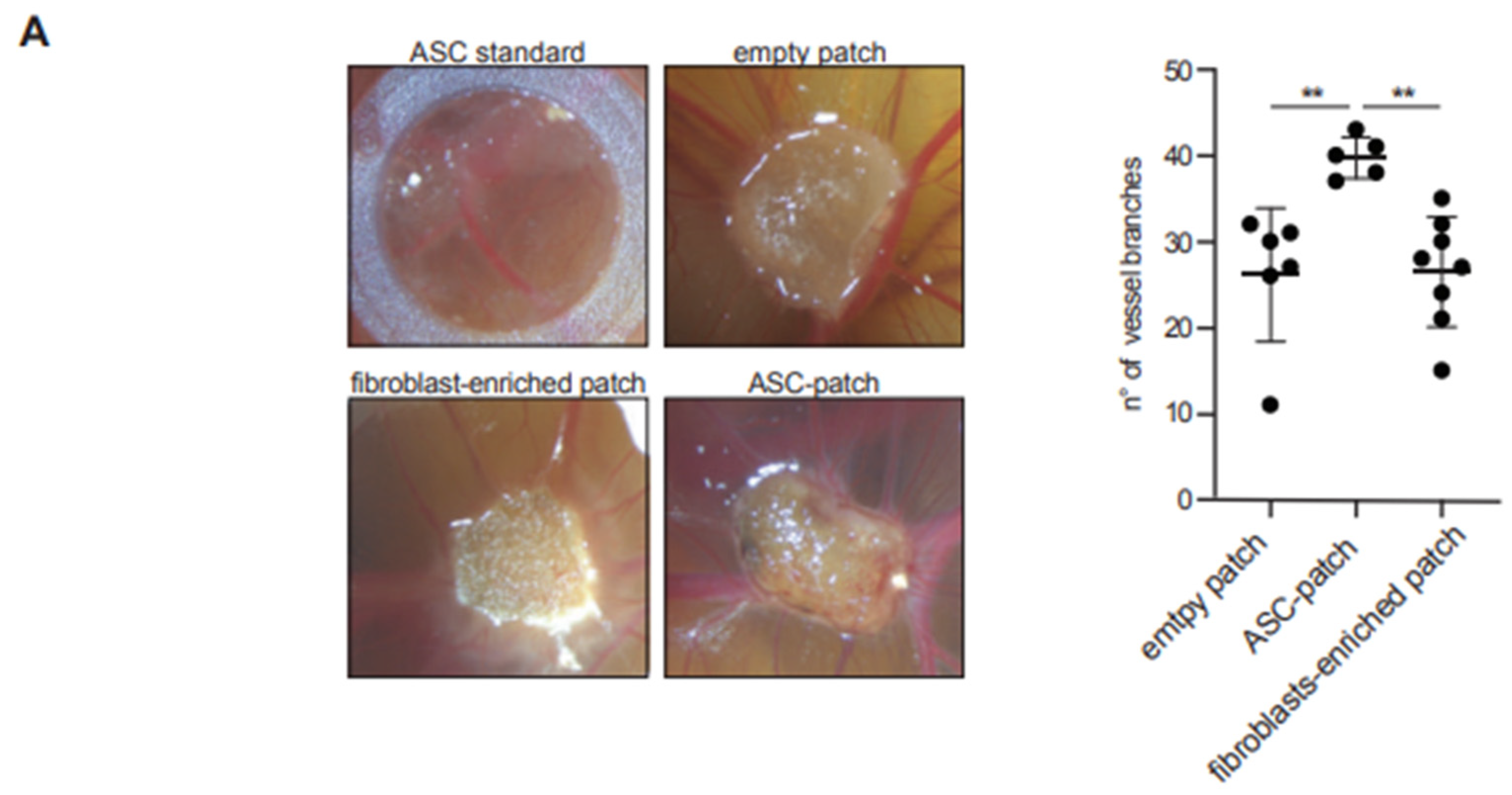 Biomedicines 11 00987 g004a Biomedicines 11 00987 g004a