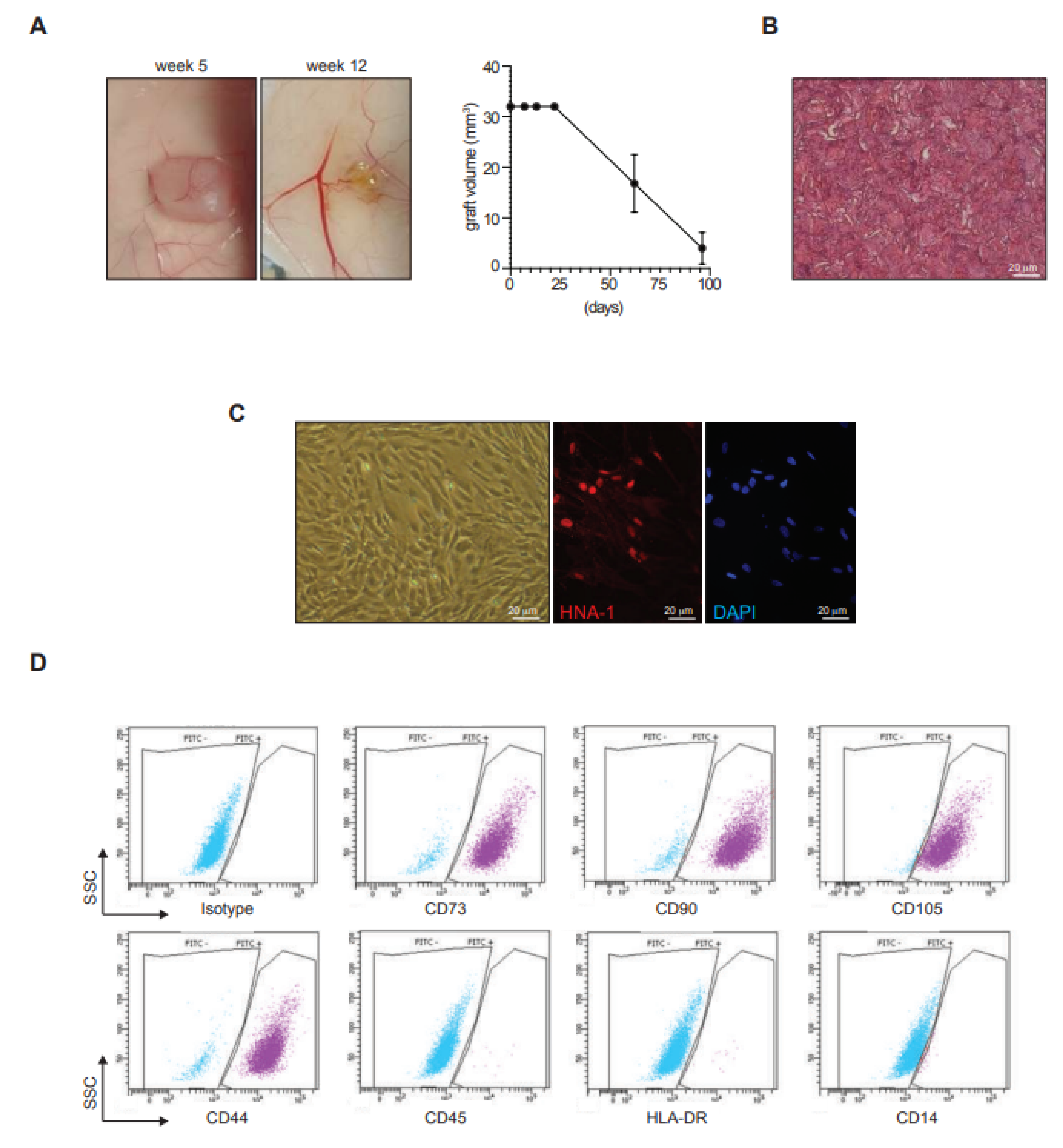 Biomedicines 11 00987 g005 Biomedicines 11 00987 g005