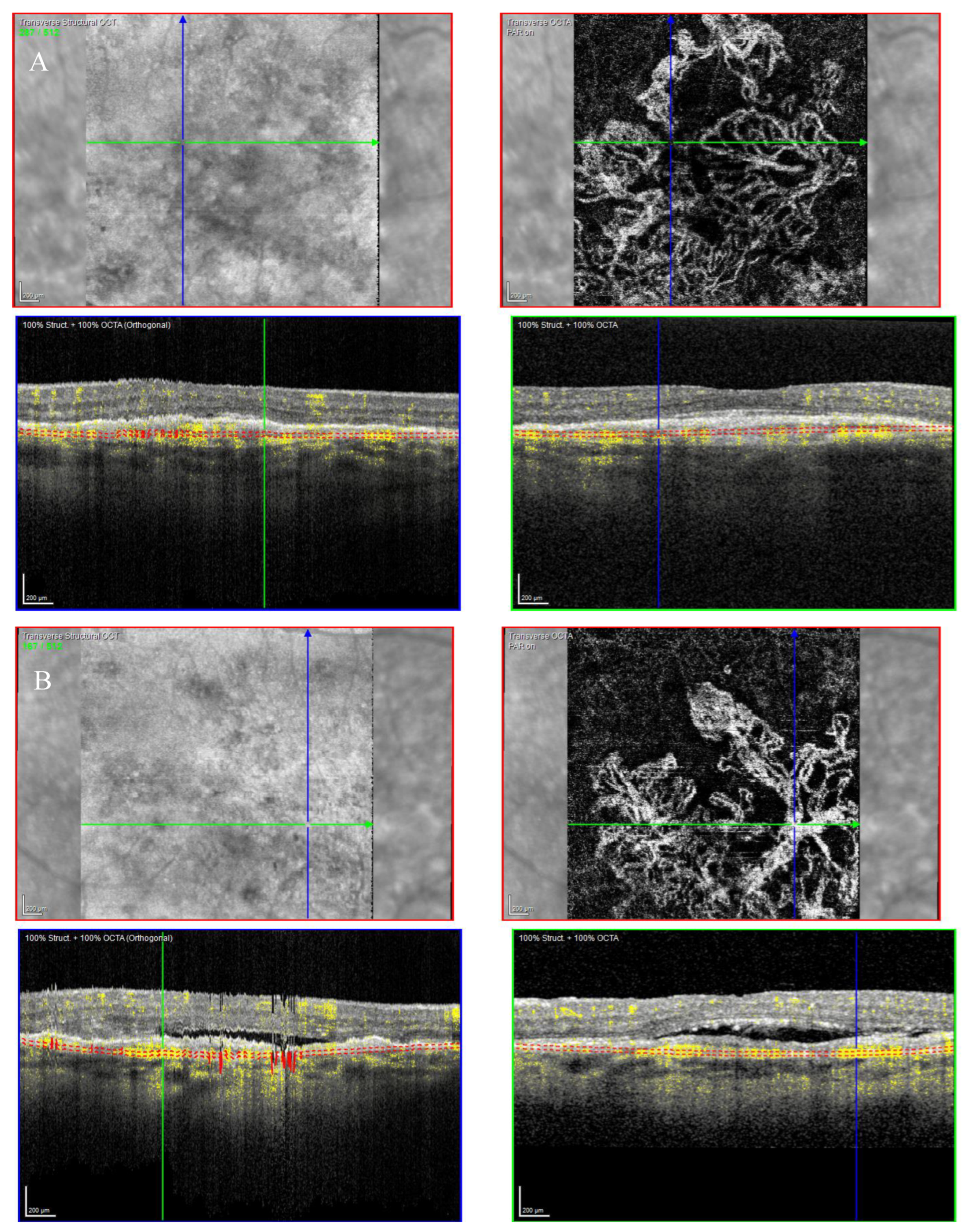 Biomedicines 11 00988 g007