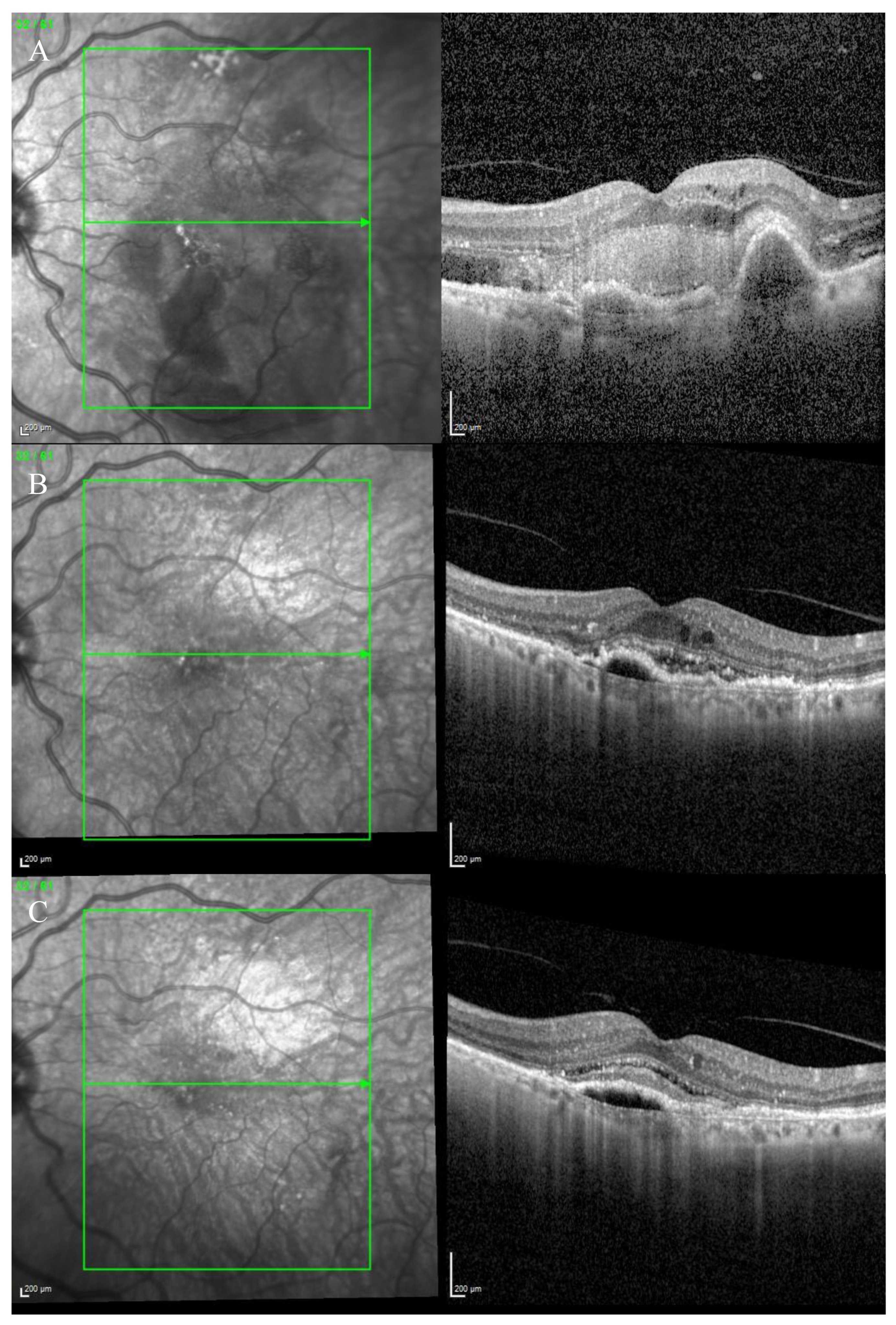 Biomedicines 11 00988 g009