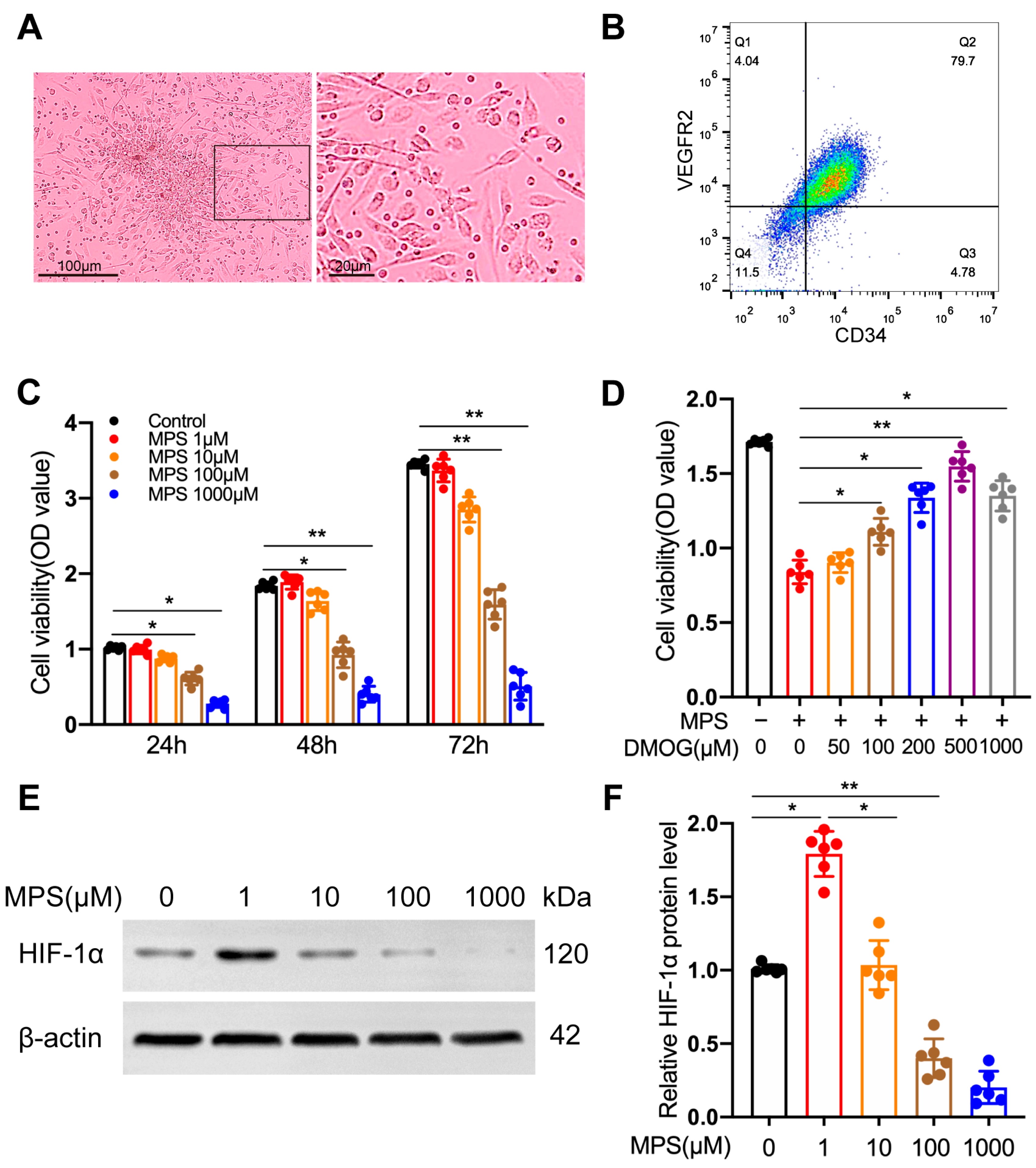 Biomedicines 11 00992 g001 Biomedicines 11 00992 g001