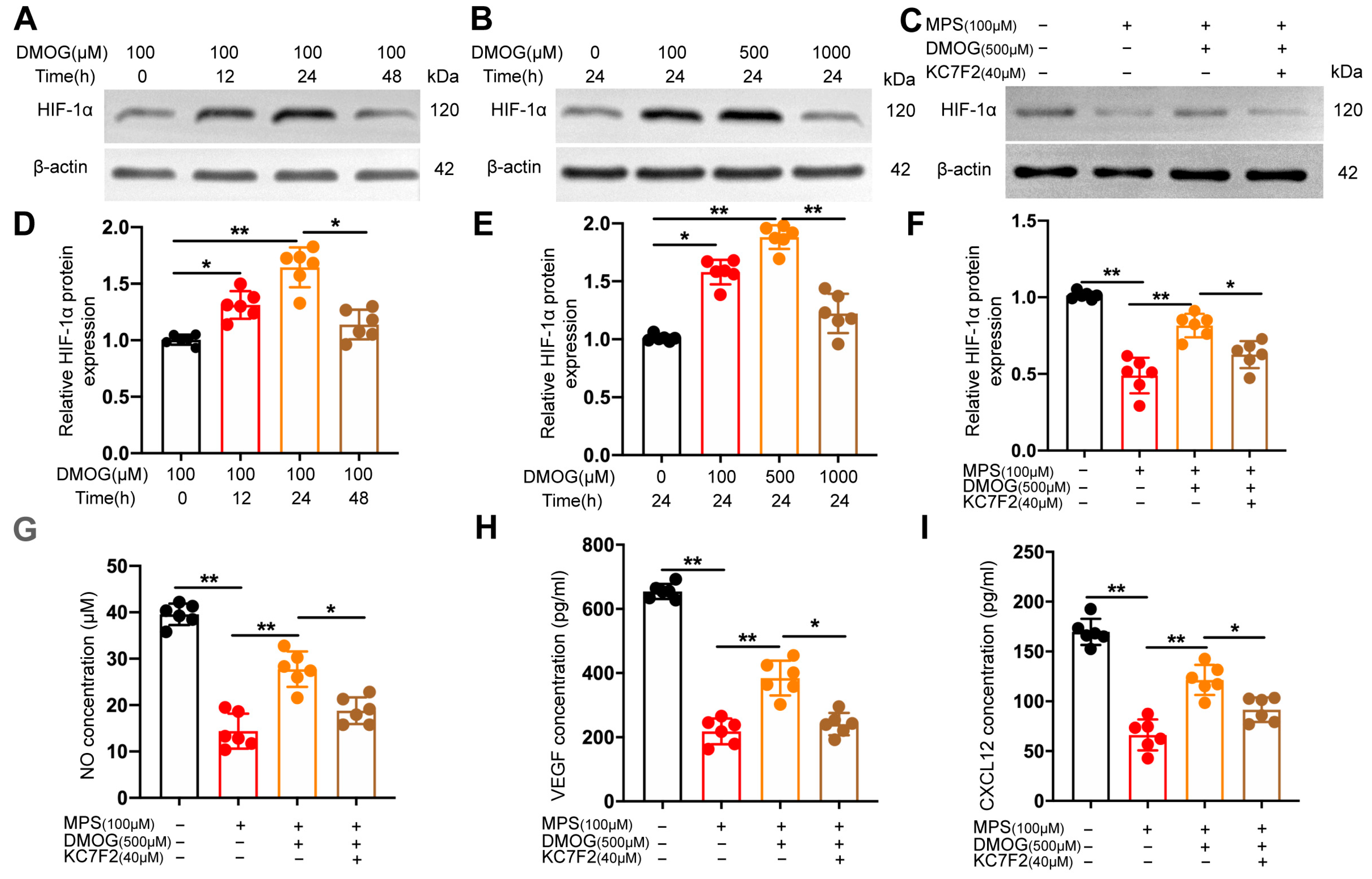 Biomedicines 11 00992 g002 Biomedicines 11 00992 g002