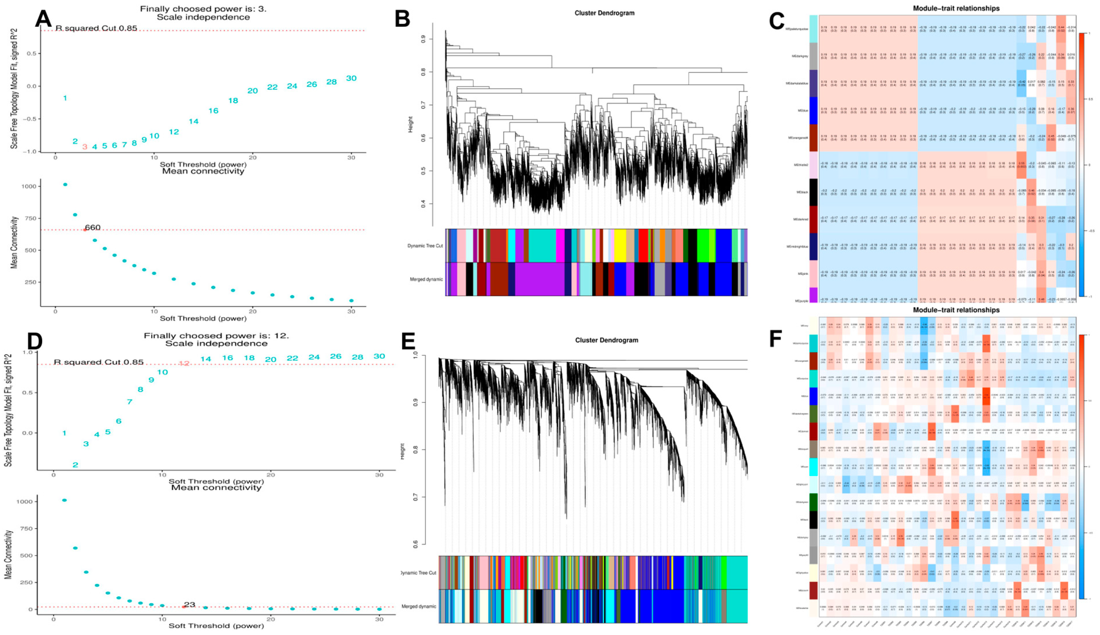 Biomedicines 11 00993 g003