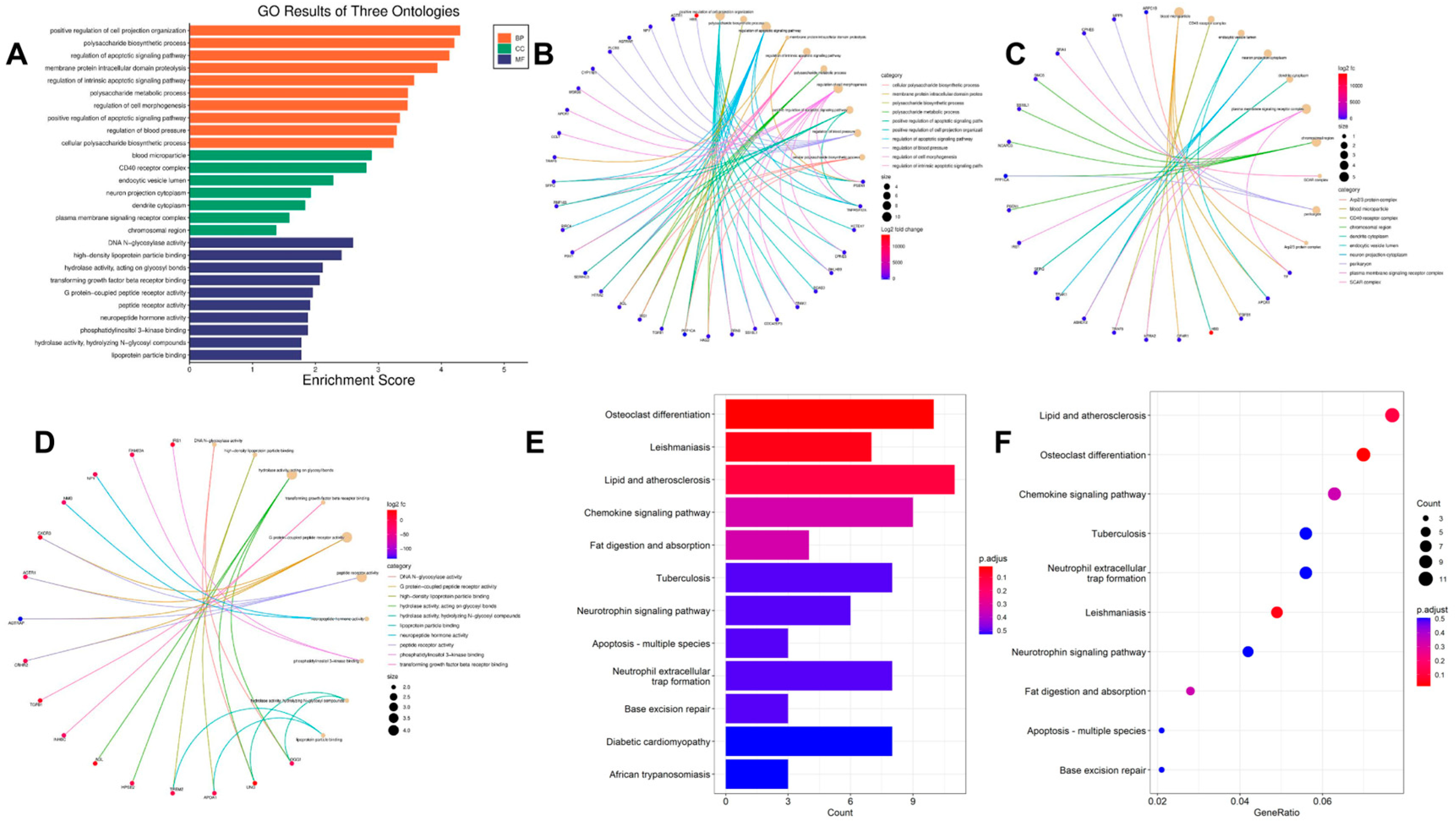 Biomedicines 11 00993 g004