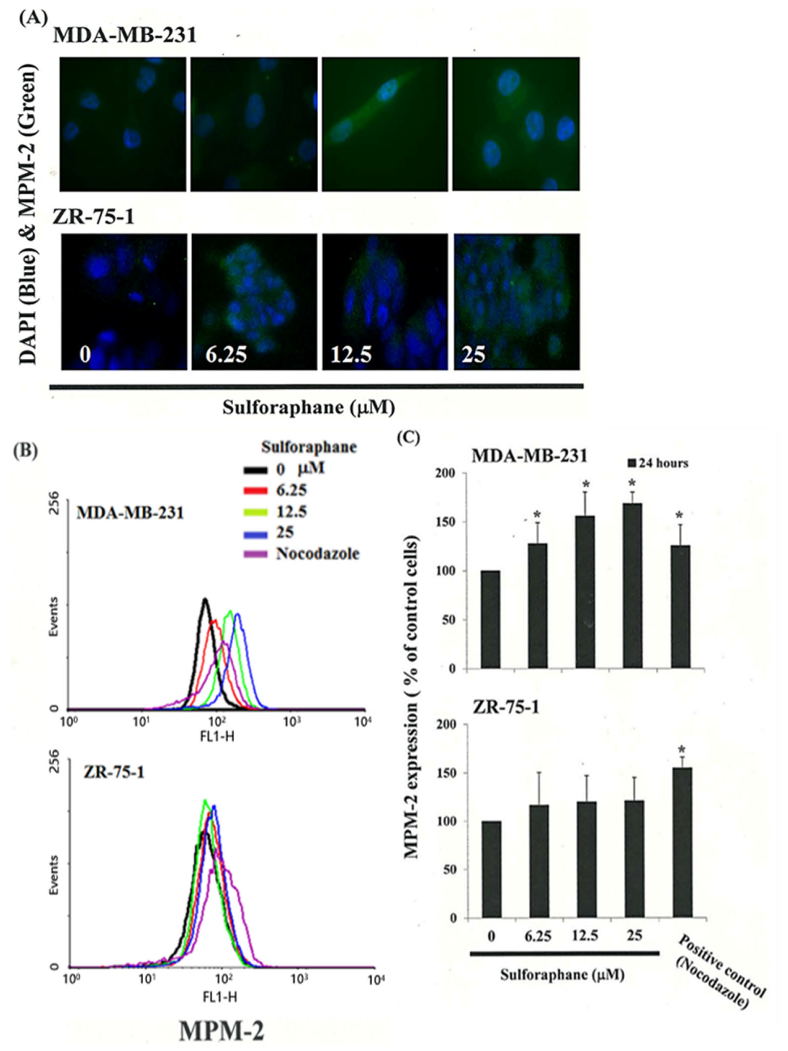 Biomedicines 11 00996 g002 Biomedicines 11 00996 g002