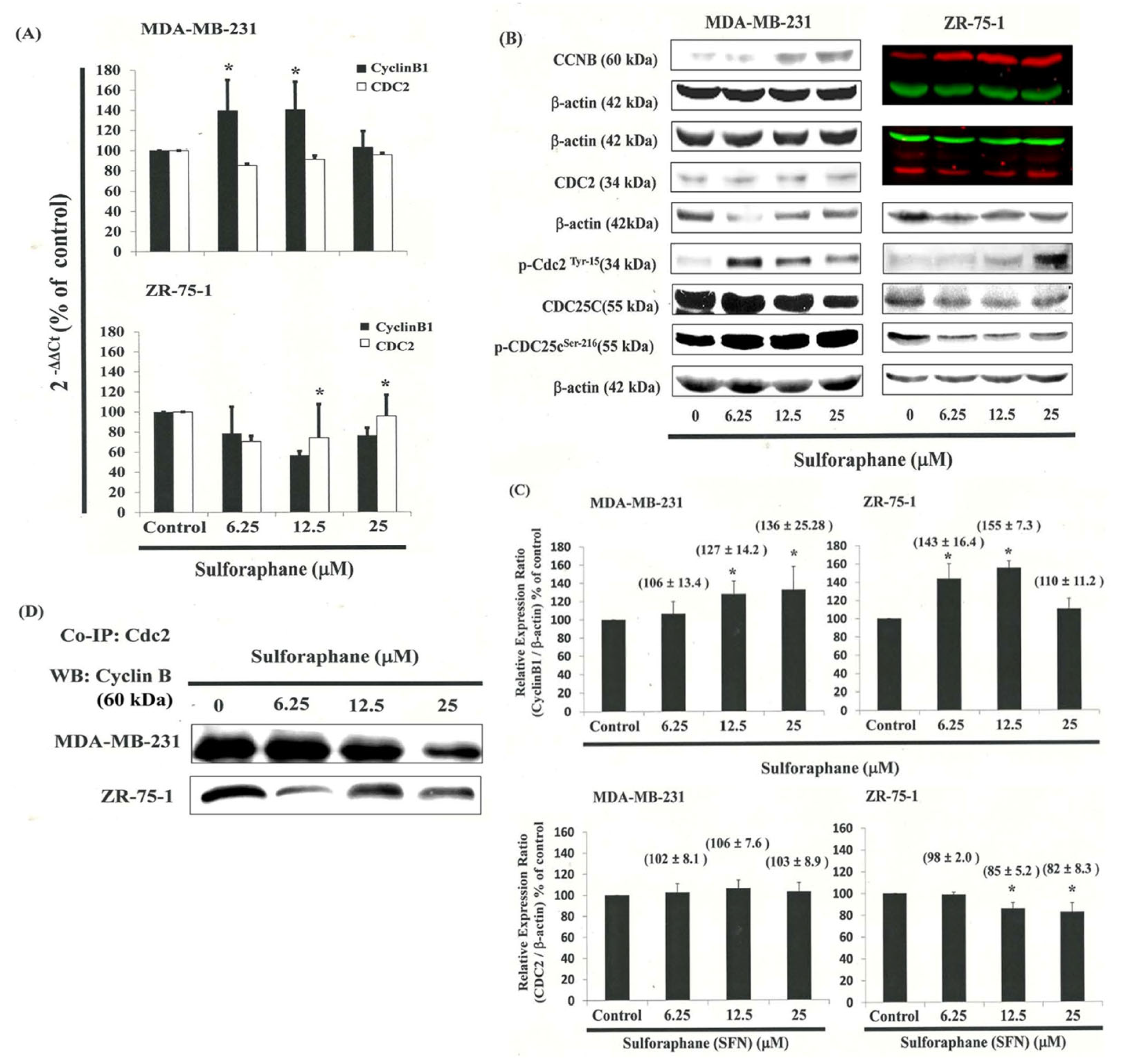 Biomedicines 11 00996 g003 Biomedicines 11 00996 g003