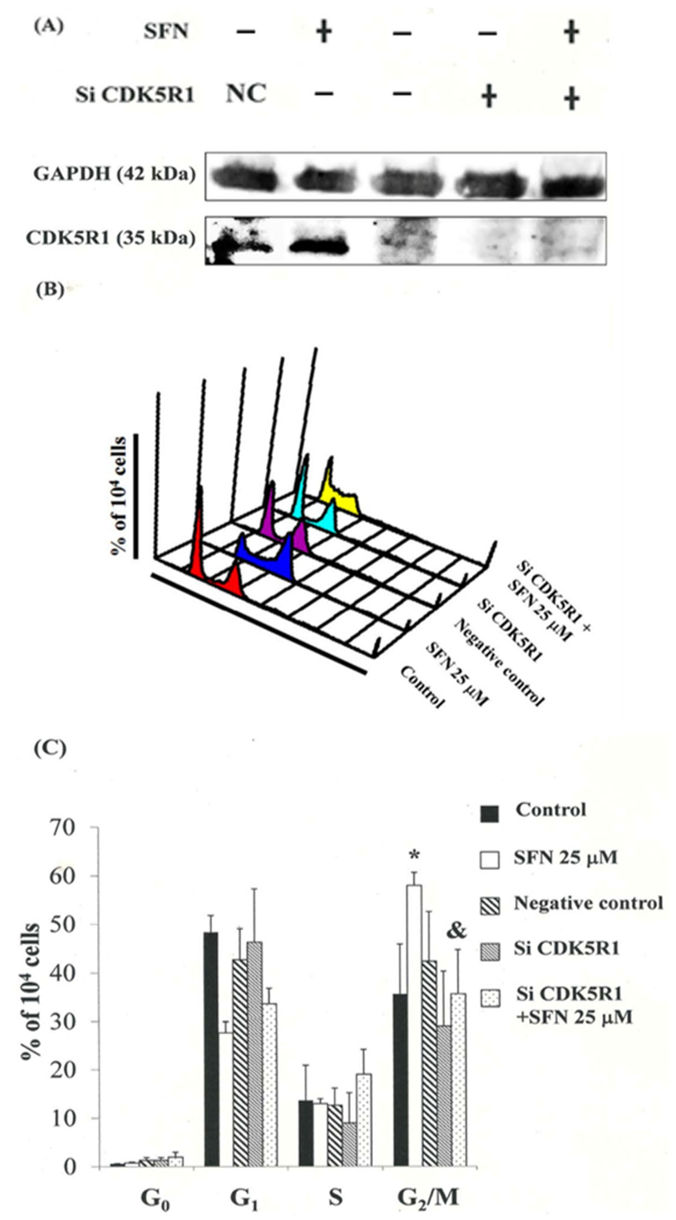 Biomedicines 11 00996 g006 Biomedicines 11 00996 g006