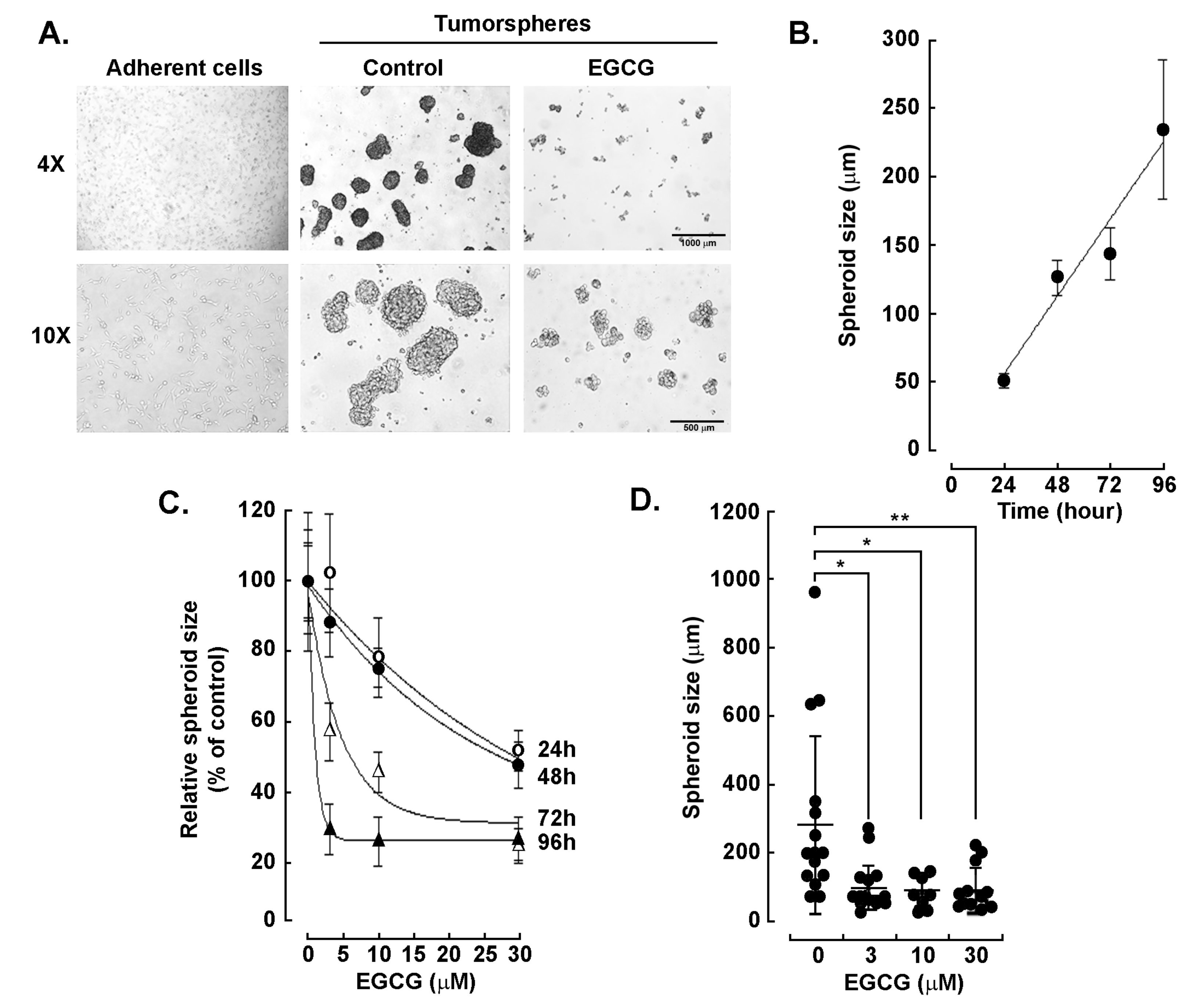 Biomedicines 11 01000 g001 Biomedicines 11 01000 g001