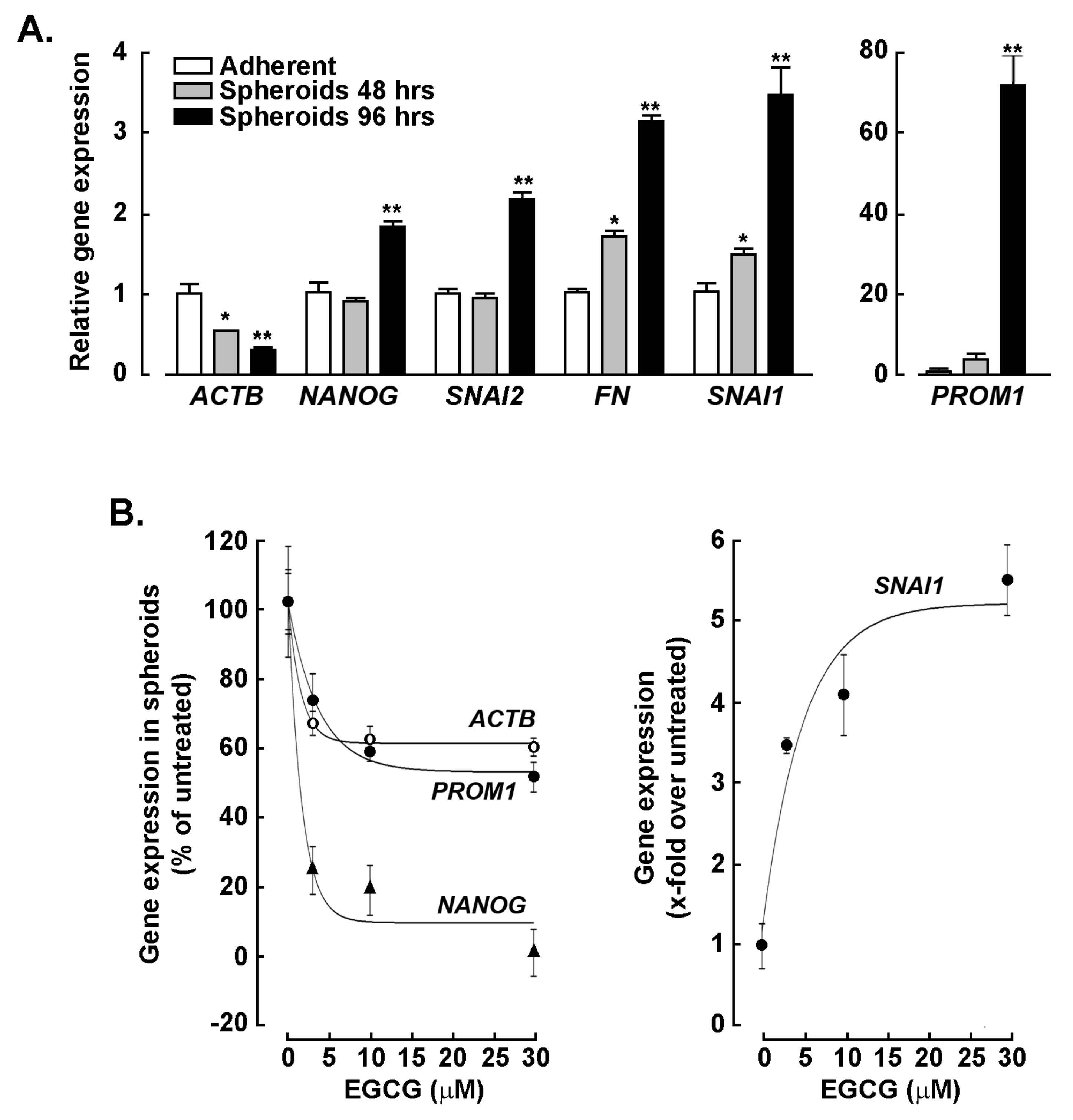 Biomedicines 11 01000 g002 Biomedicines 11 01000 g002