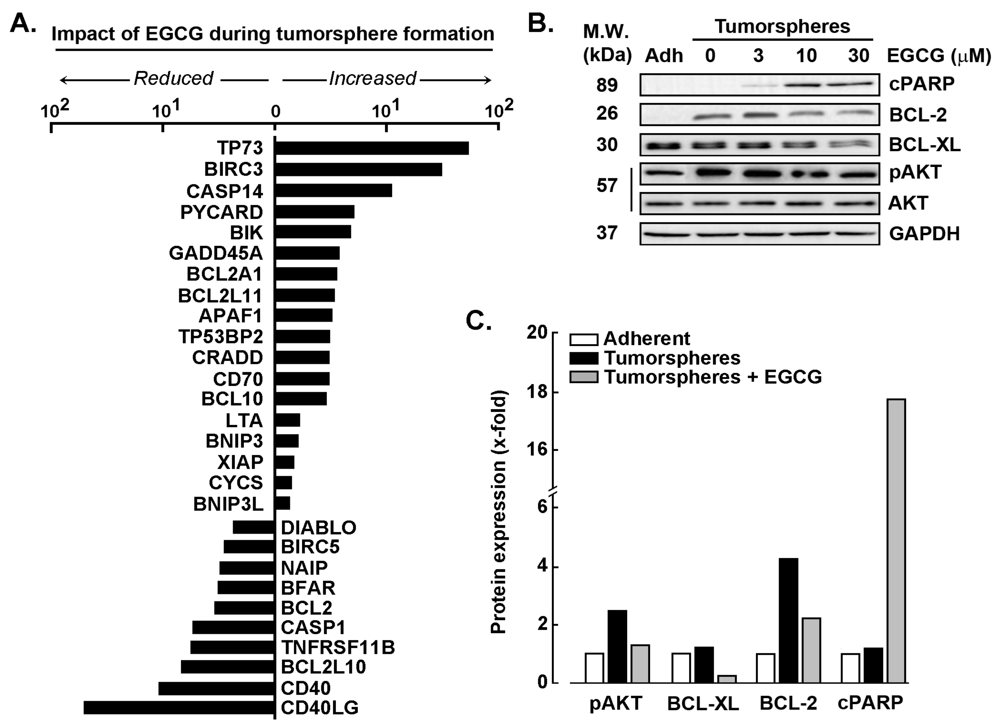 Biomedicines 11 01000 g004 Biomedicines 11 01000 g004