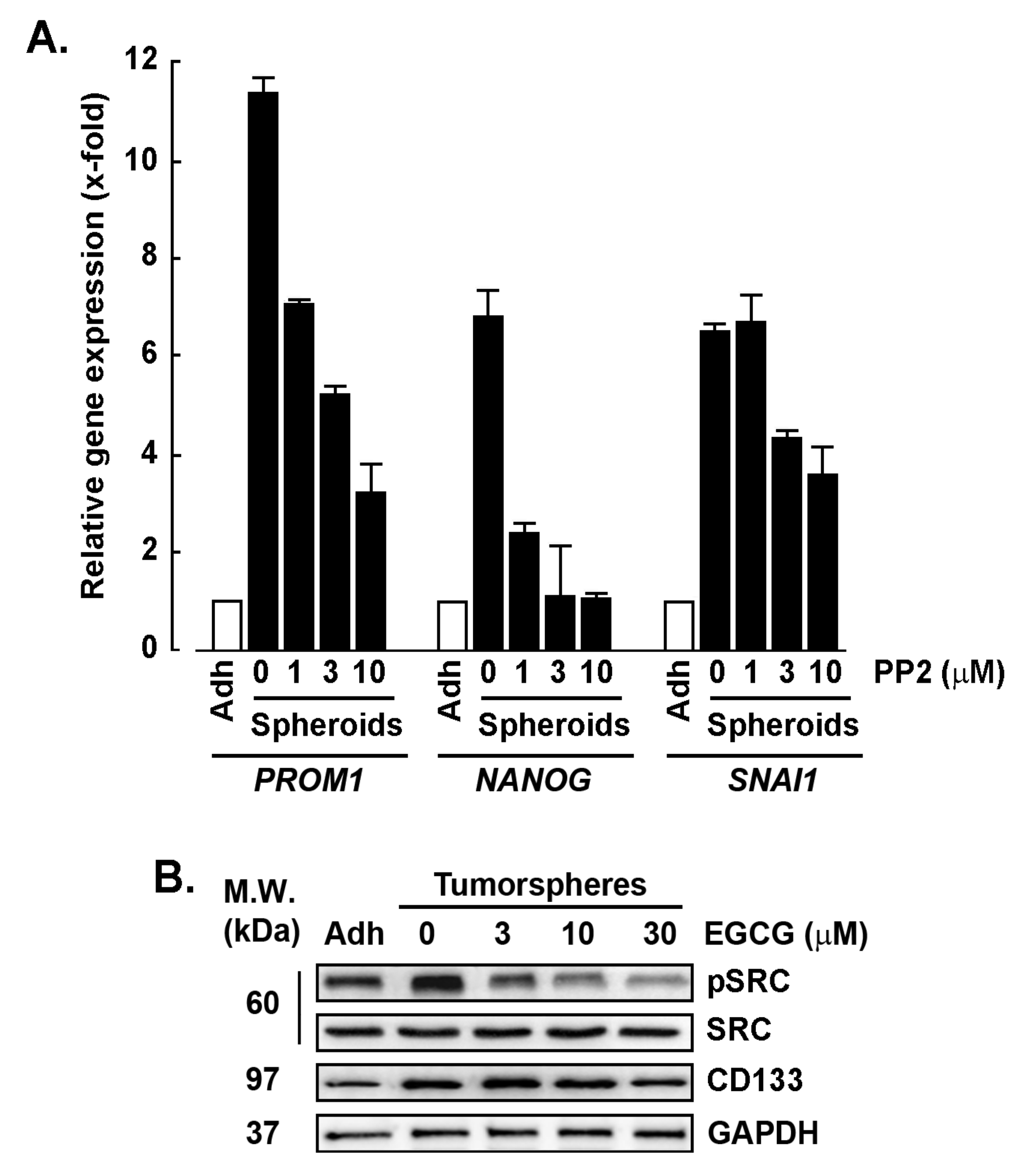 Biomedicines 11 01000 g005 Biomedicines 11 01000 g005