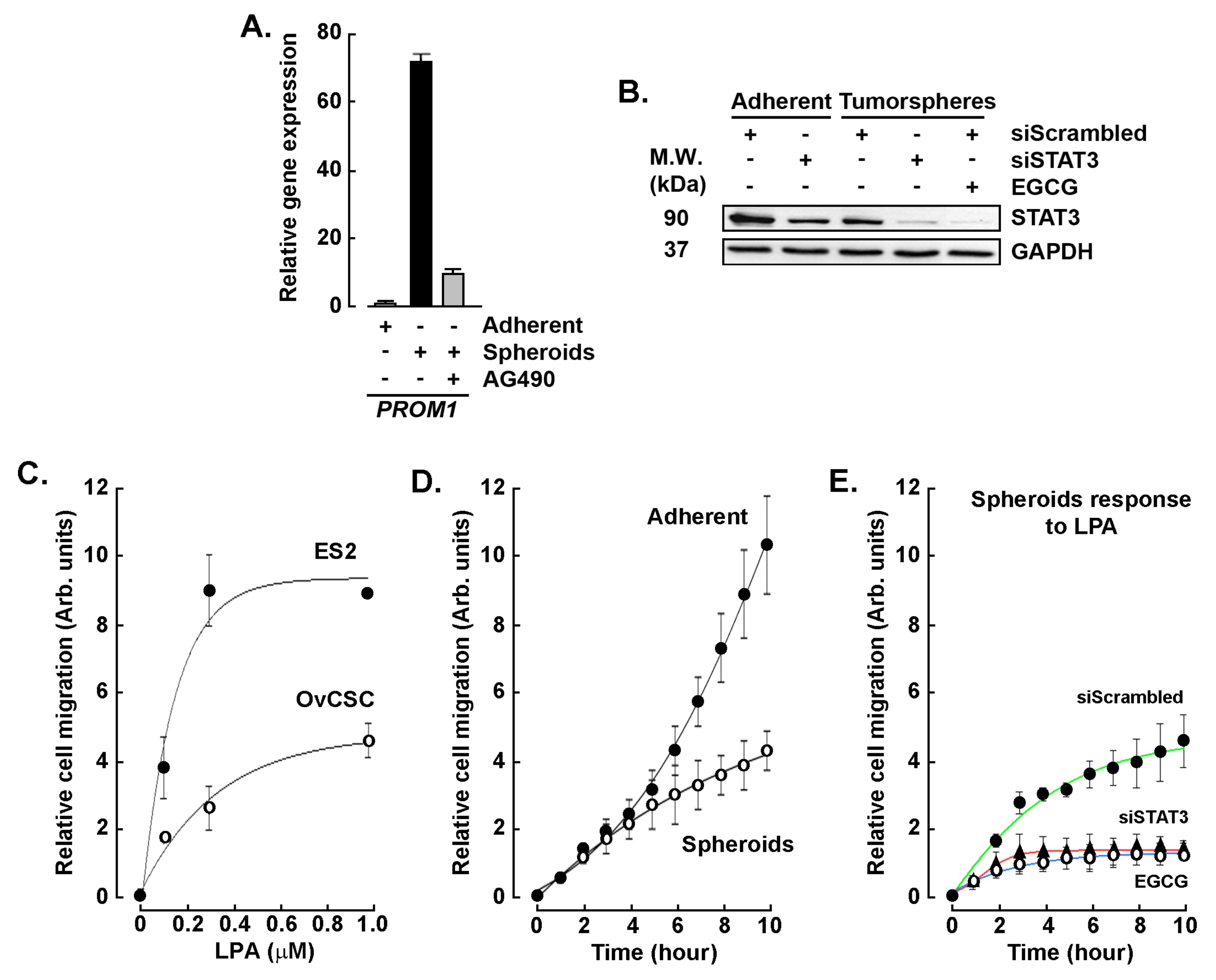 Biomedicines 11 01000 g006 Biomedicines 11 01000 g006